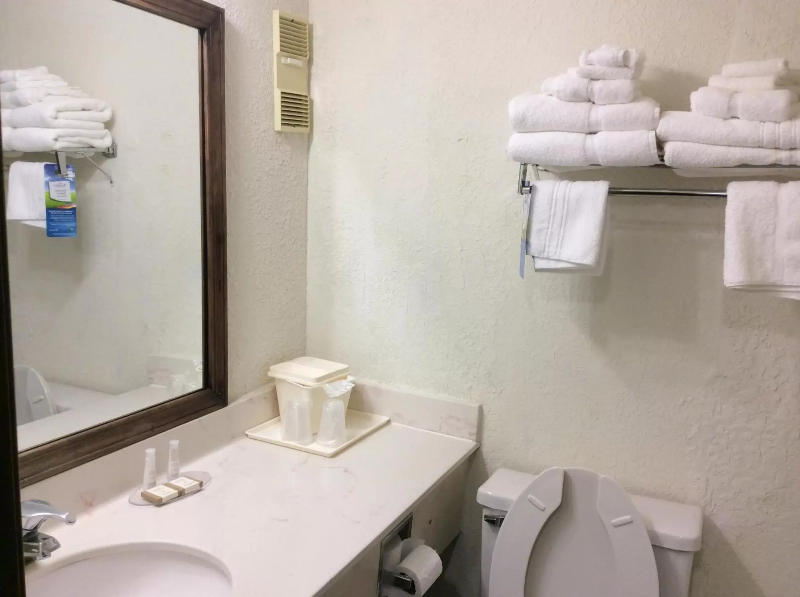 Toilet, Bathroom in Baymont by Wyndham Greensboro/Coliseum