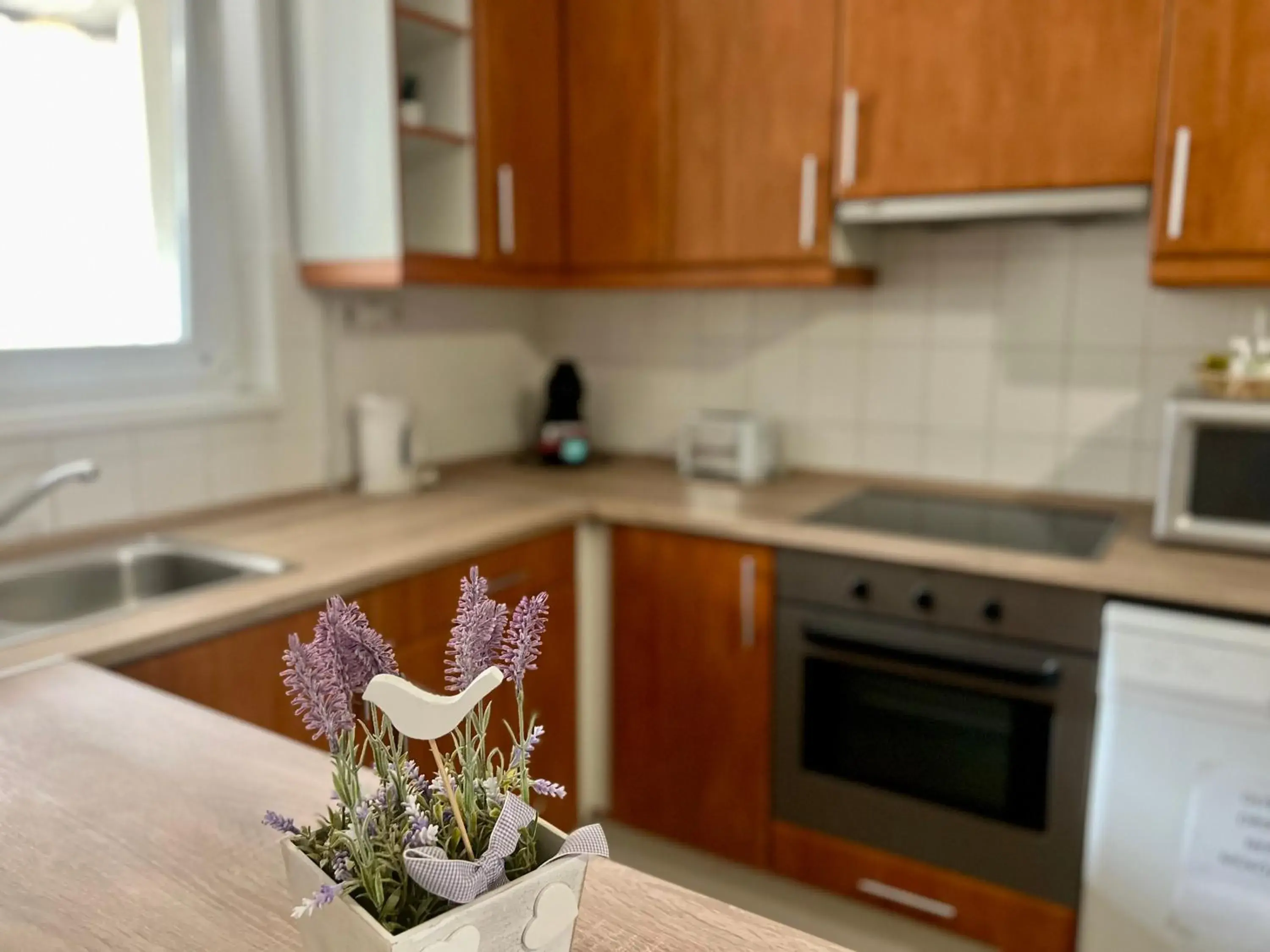 Kitchen or kitchenette, Kitchen/Kitchenette in Nova Aparthotel