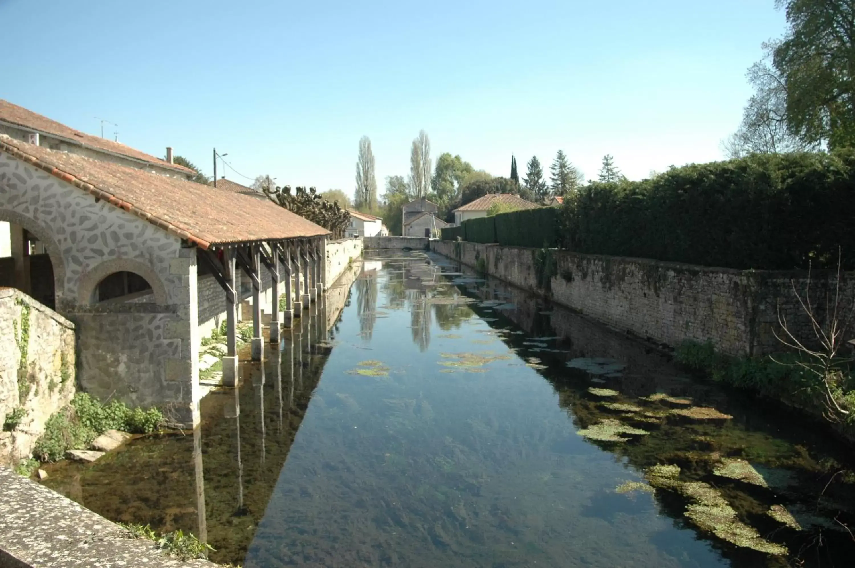 Neighbourhood in Le Perroquet Vert