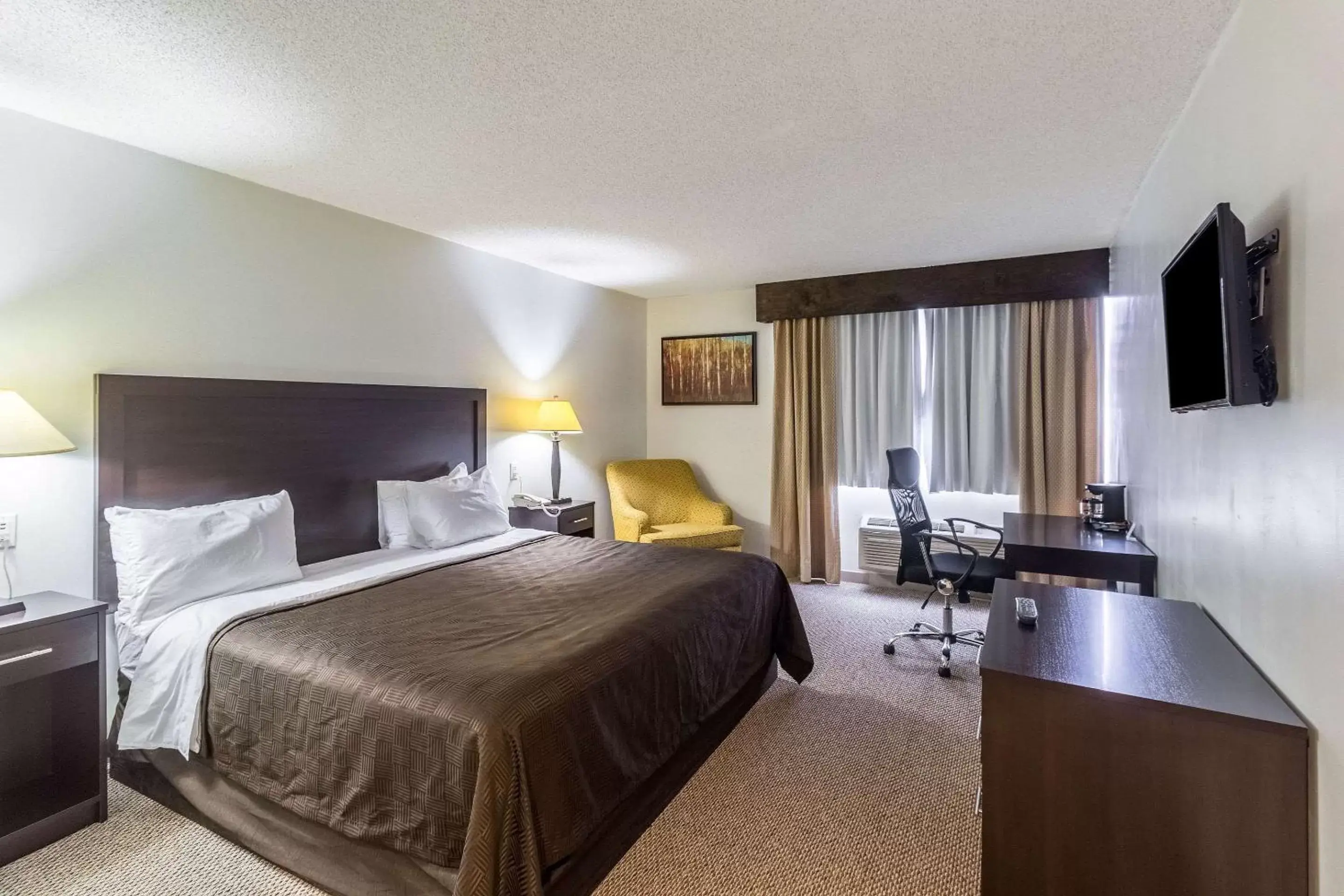 Bedroom, TV/Entertainment Center in Clarion Inn near McAllen Airport