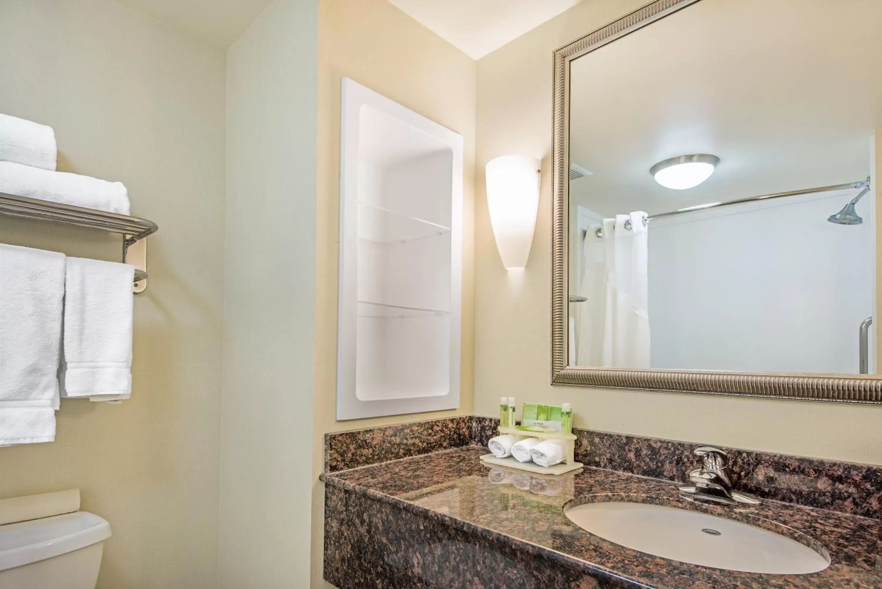 Bathroom in Holiday Inn Express Hotel & Suites Clute-Lake Jackson, an IHG Hotel