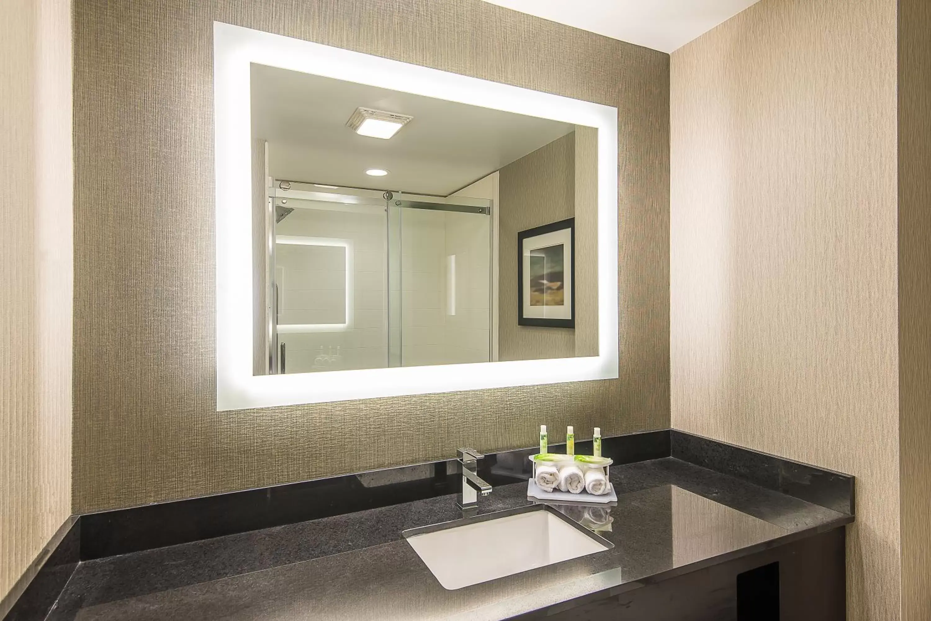 Bathroom in Holiday Inn Express & Suites Norwood, an IHG Hotel