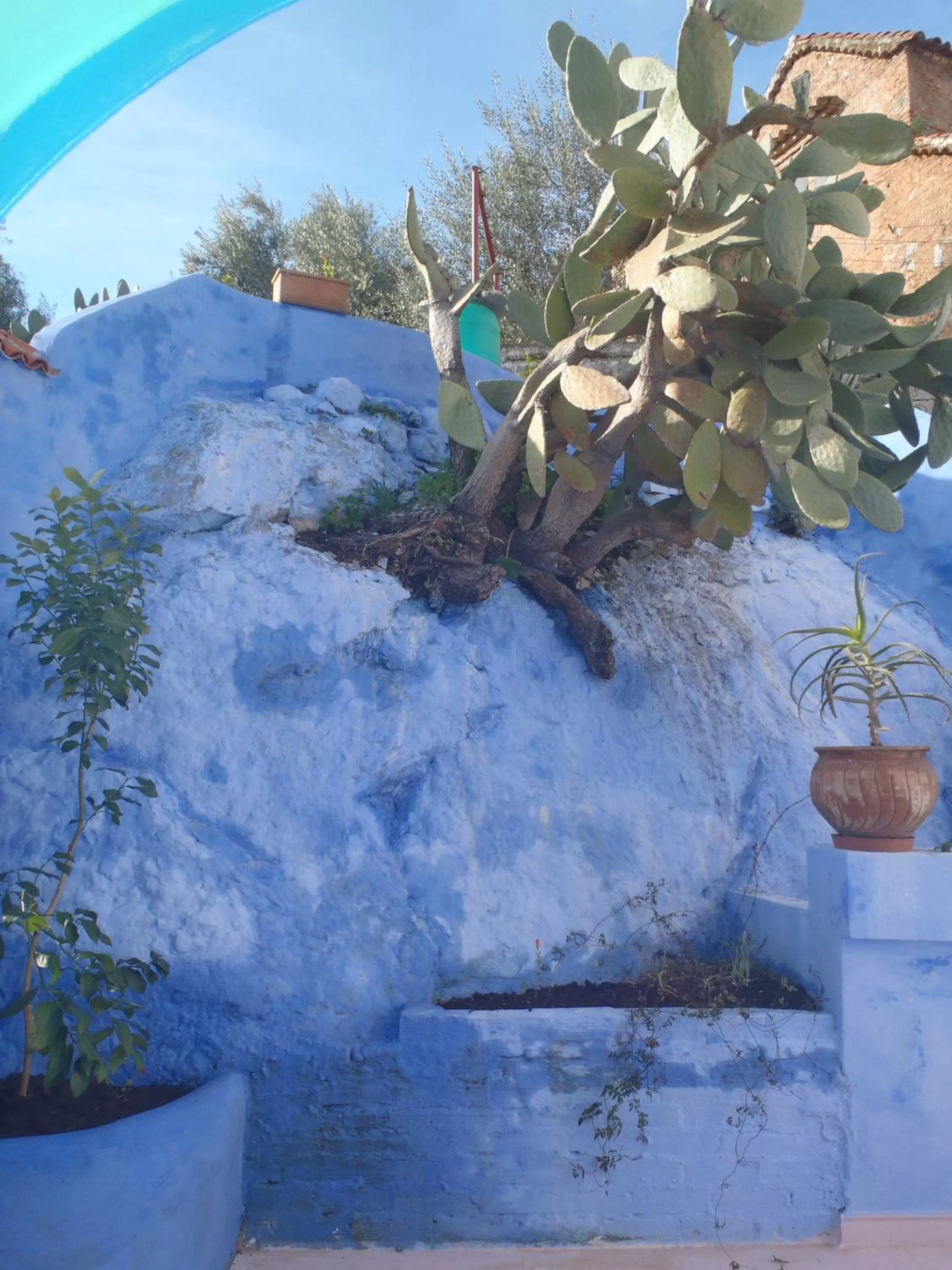 Balcony/Terrace in Dar Dalia