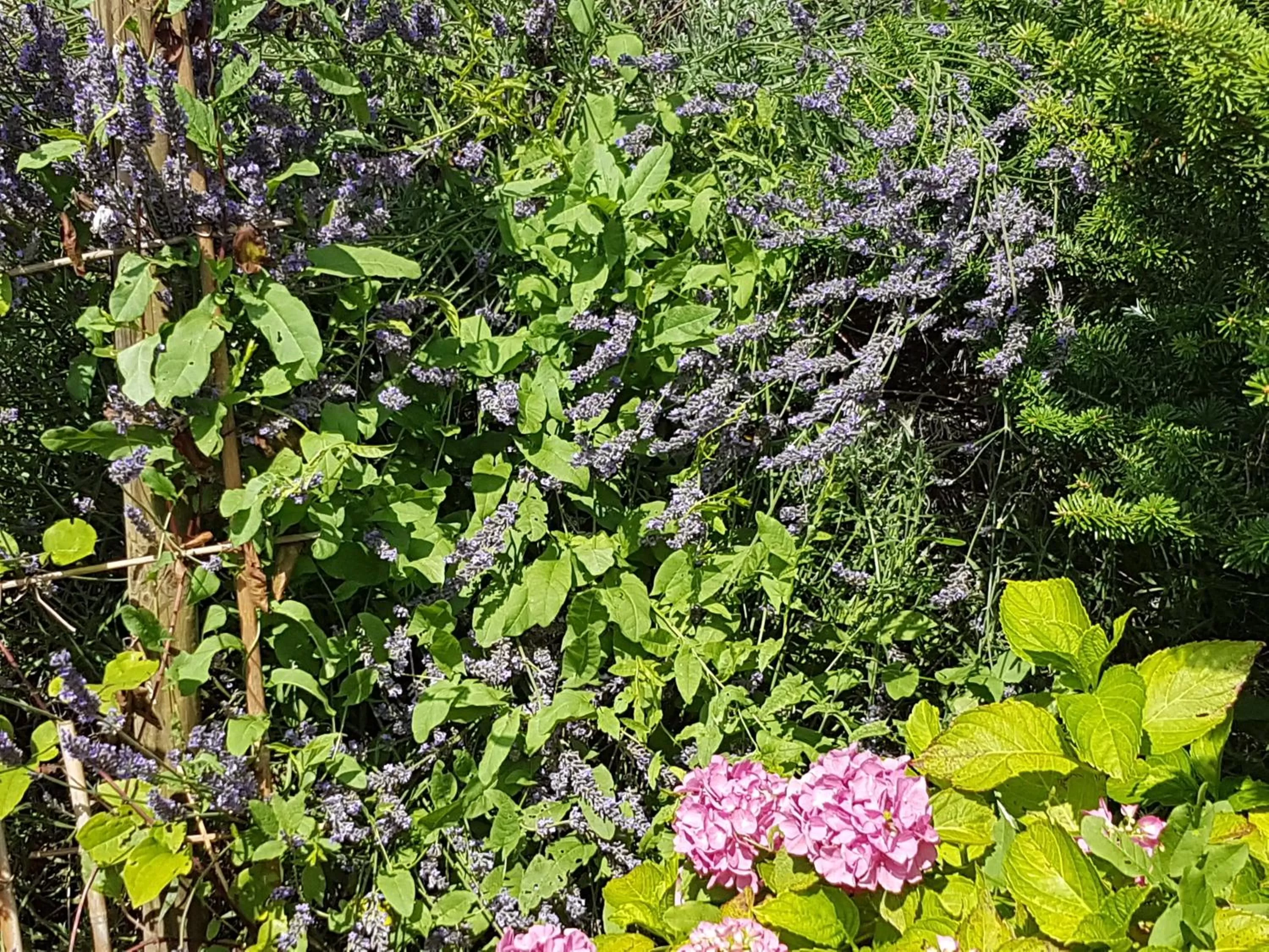 Activities in Noclegi Biała Róża