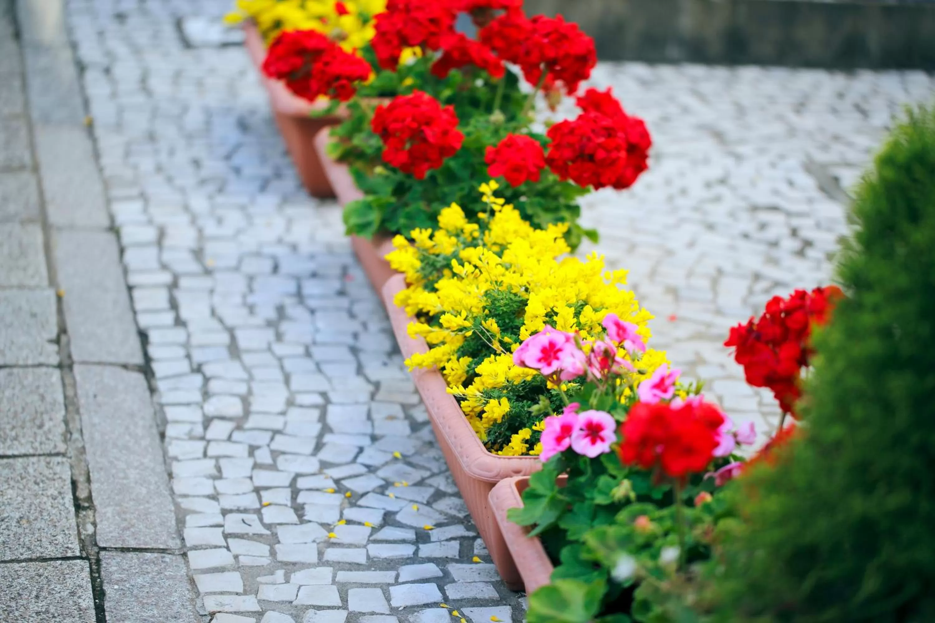 Seasons in Hotel Monterey Nagasaki