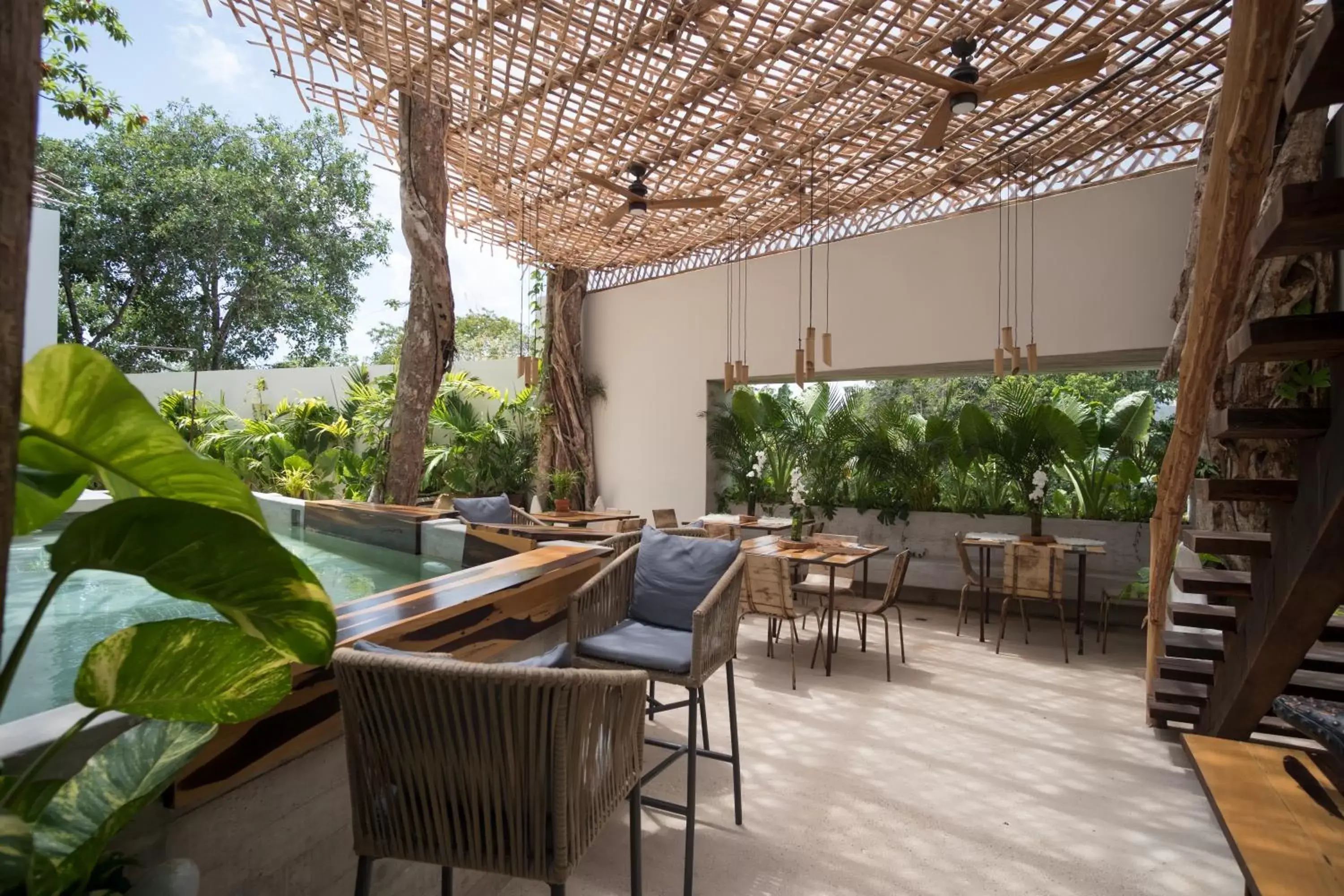 Restaurant/Places to Eat in Orchid House Tulum