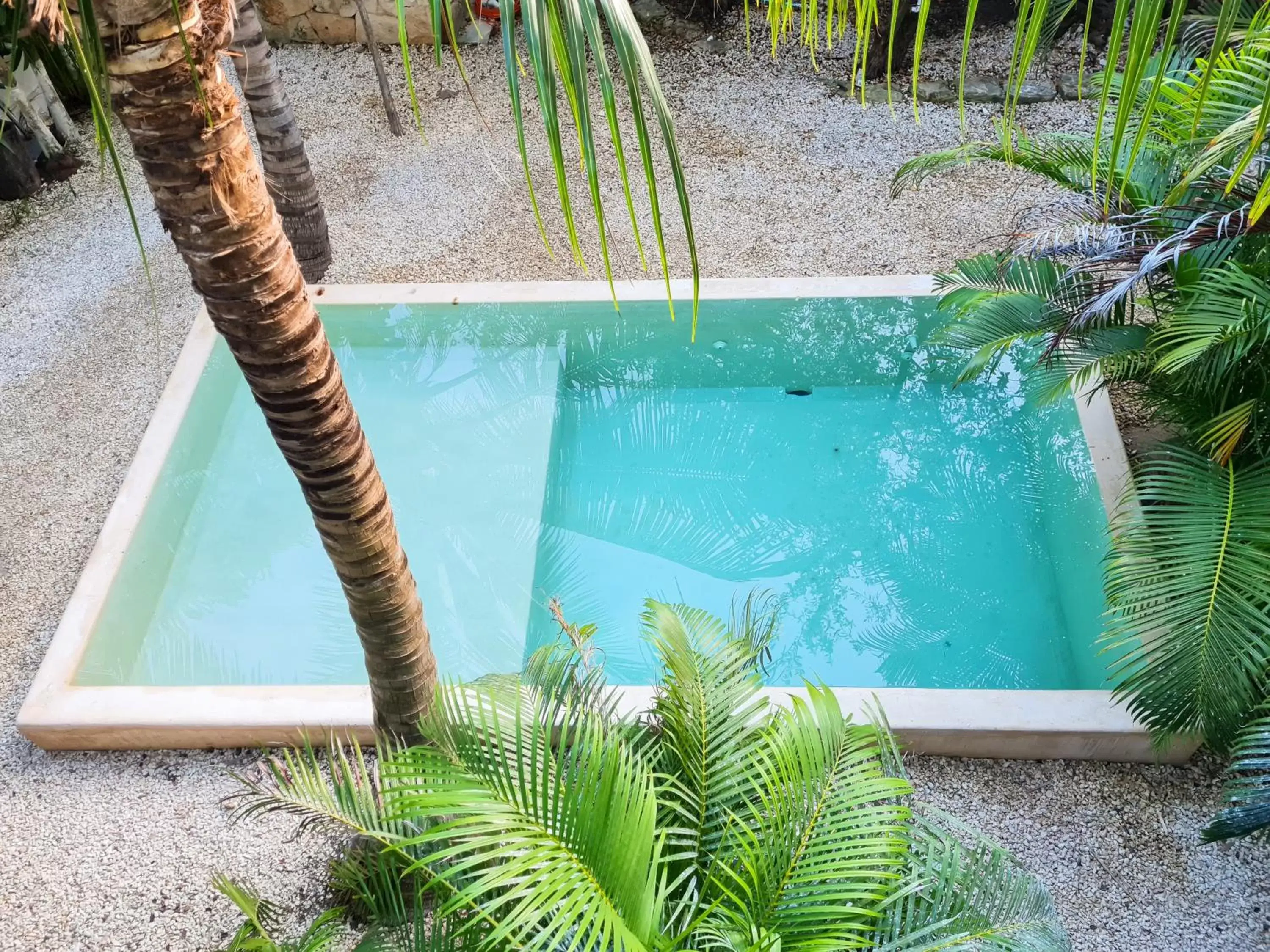 Garden, Swimming Pool in Suites Tulum