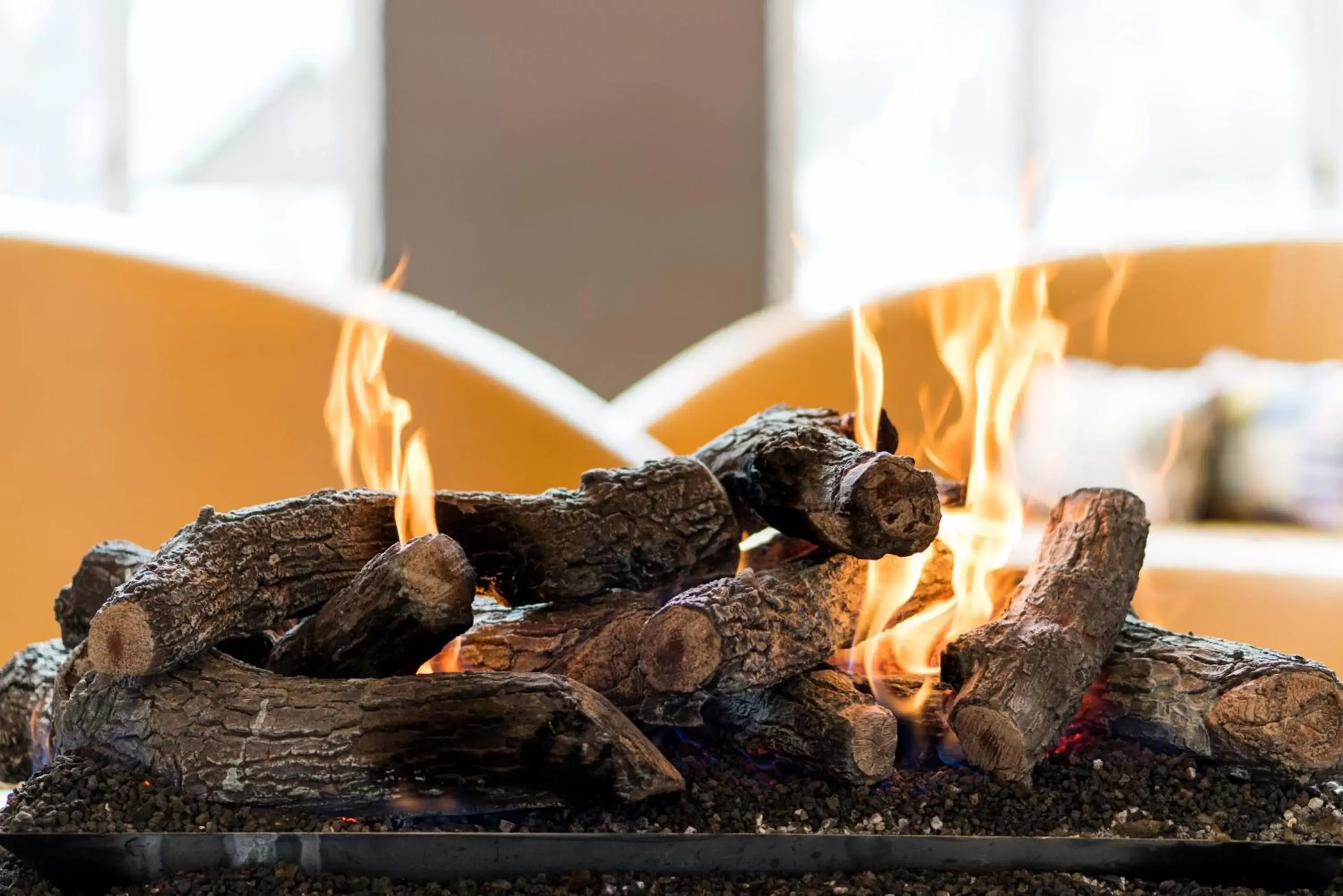 Lobby or reception in Hotel Ketchum Lobby or reception in Hotel Ketchum