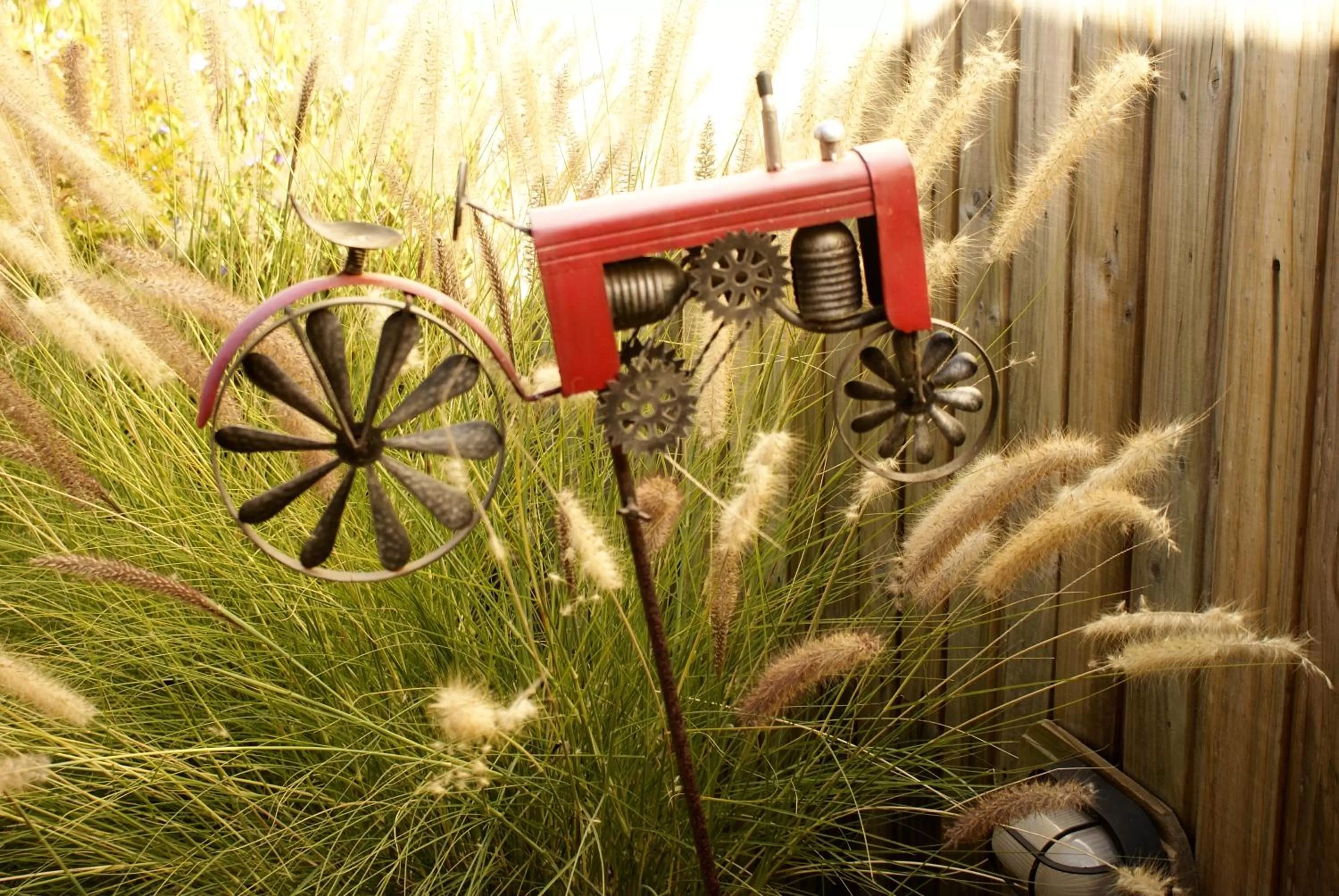 Garden in Barrica Lodge