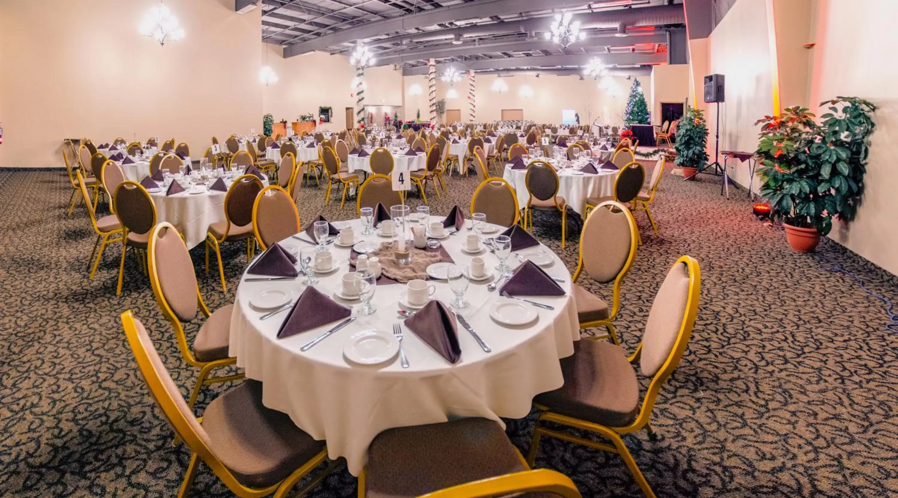 Banquet/Function facilities, Banquet Facilities in Canad Inns Destination Centre Portage la Prairie