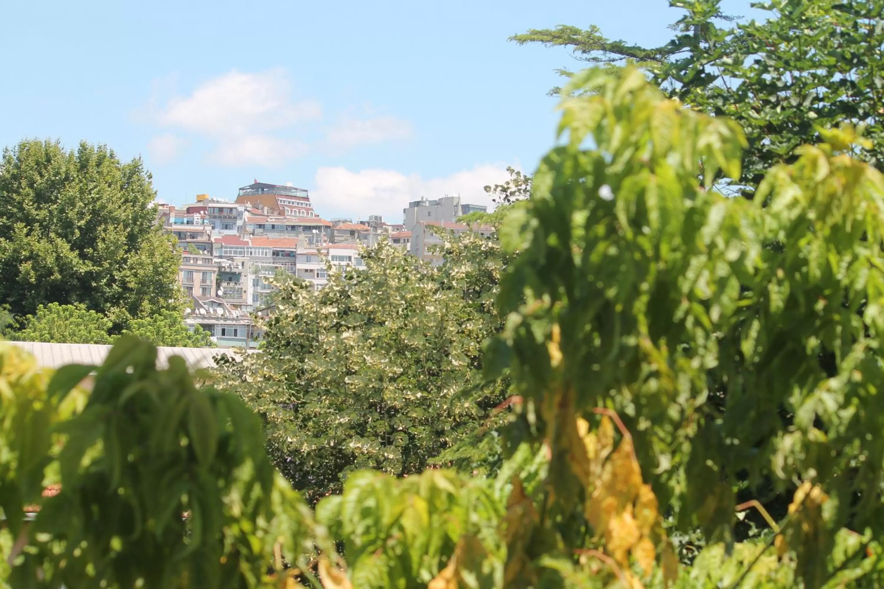 Apartment with Terrace in Arat Apartments