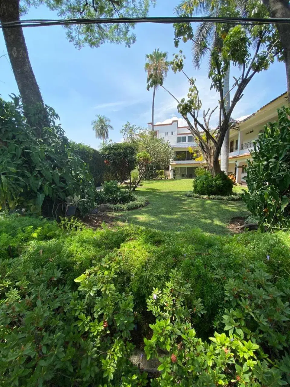 Garden in Hotel Posada Quinta Las Flores