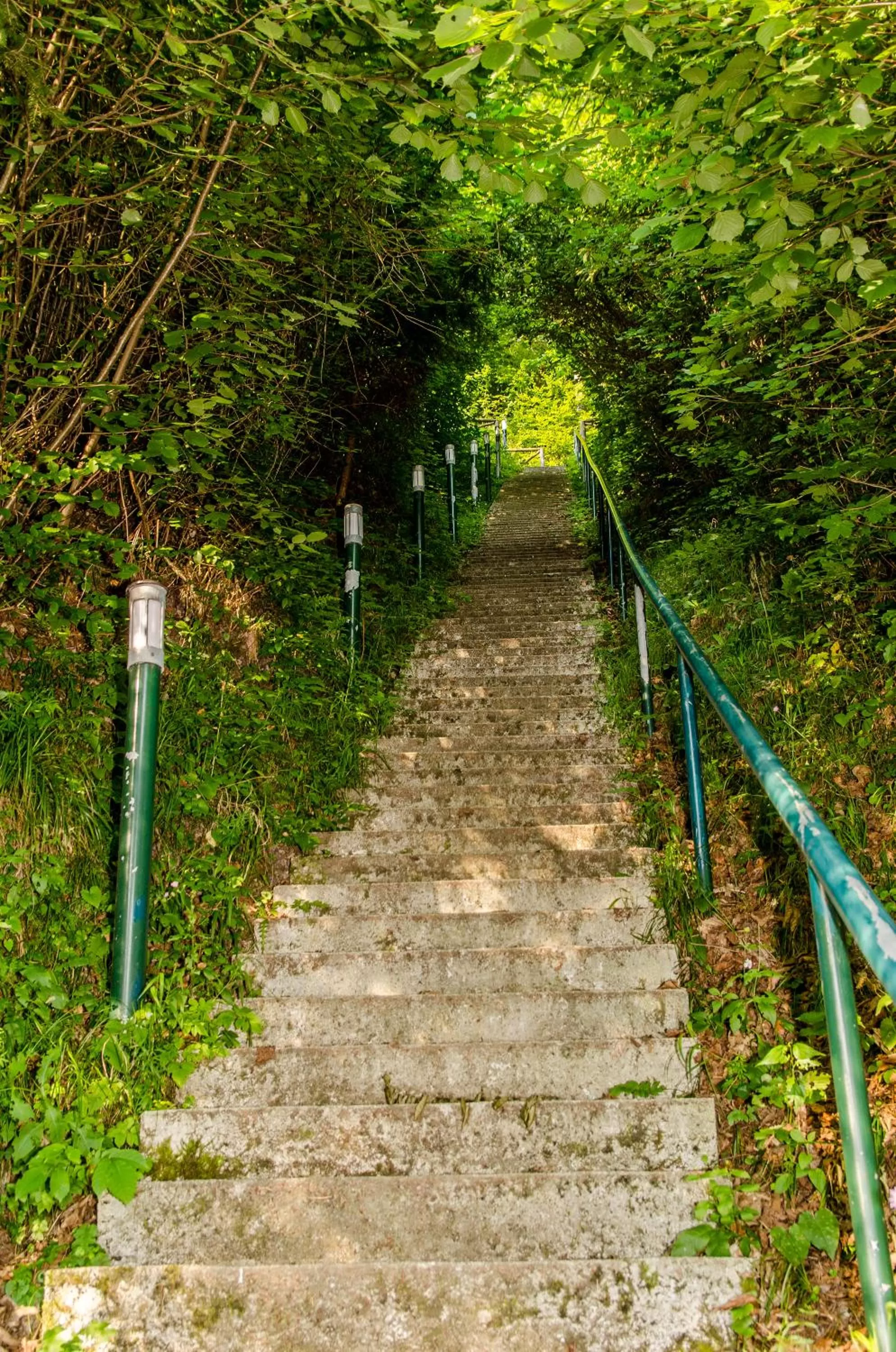 Other in Penzion Park