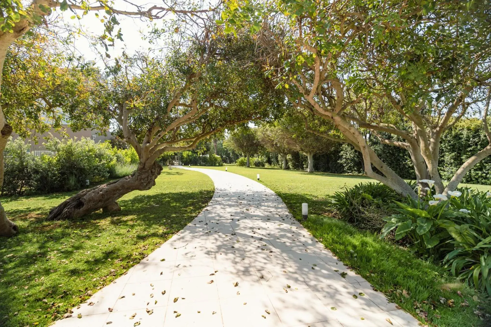 Garden in Modica Palace Hotel