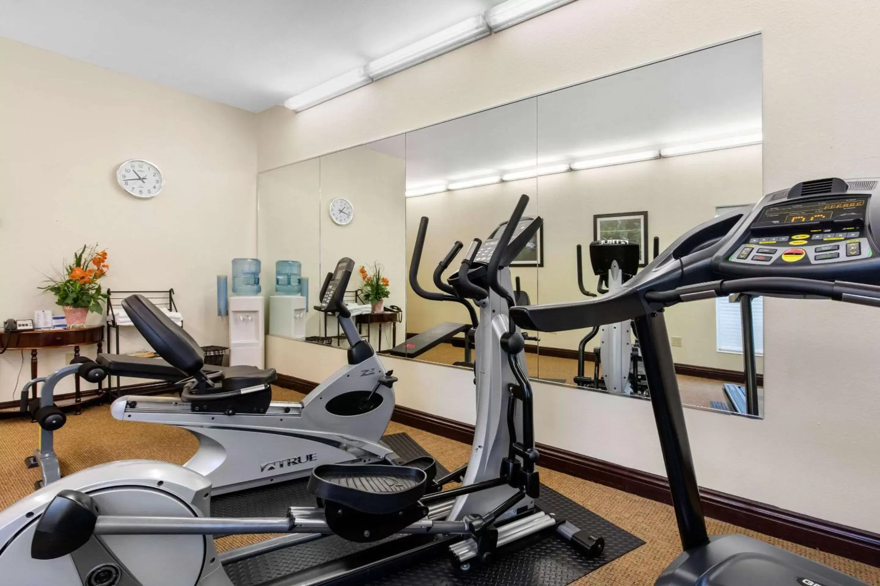 Fitness centre/facilities, Fitness Center/Facilities in Sleep Inn & Suites Millbrook