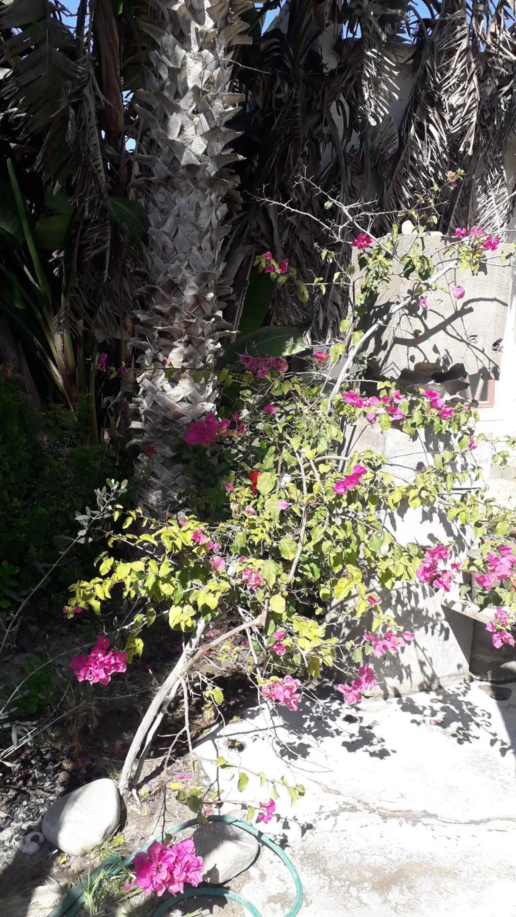 Alternative Space B & B