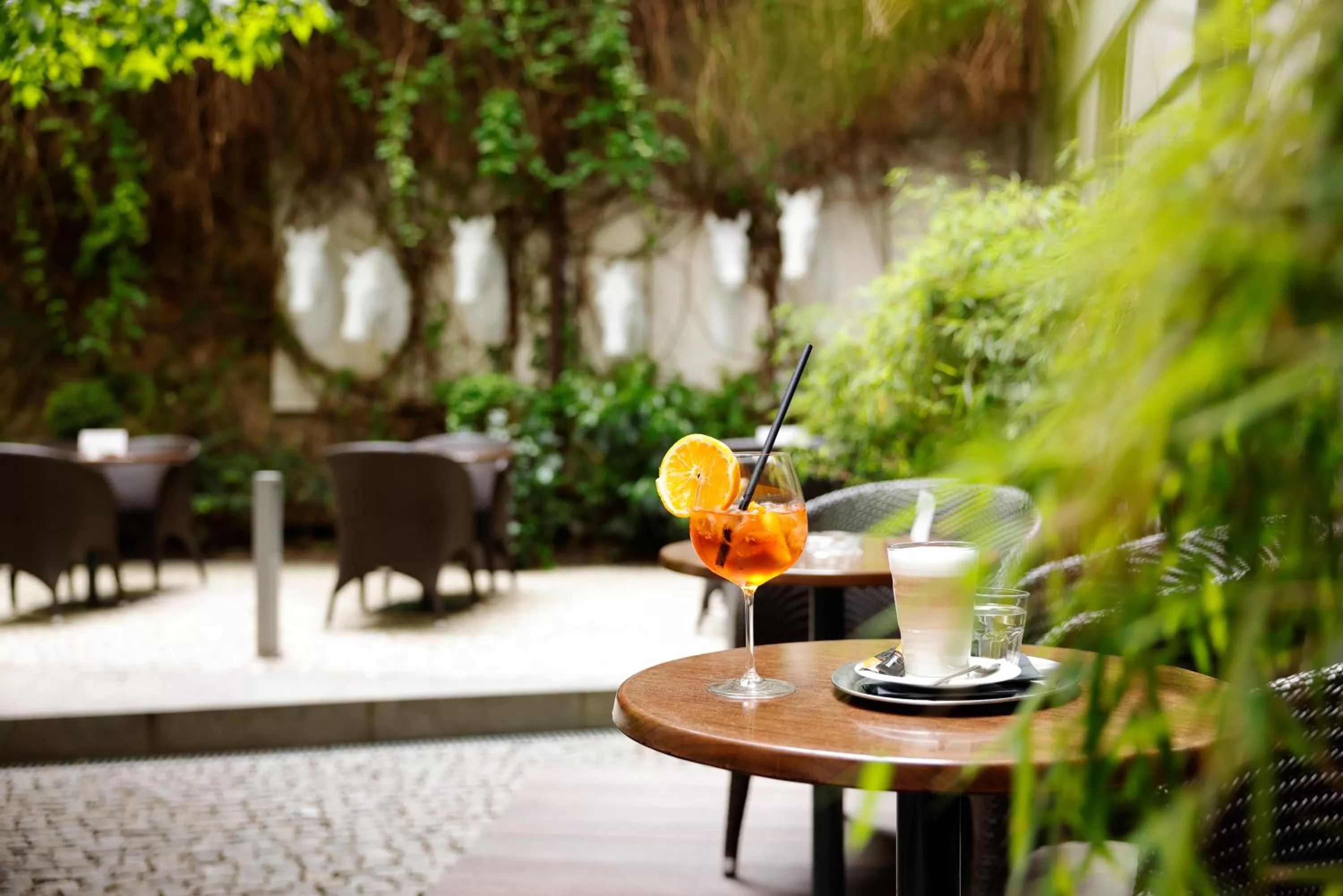 Patio in Hotel Prokop Square