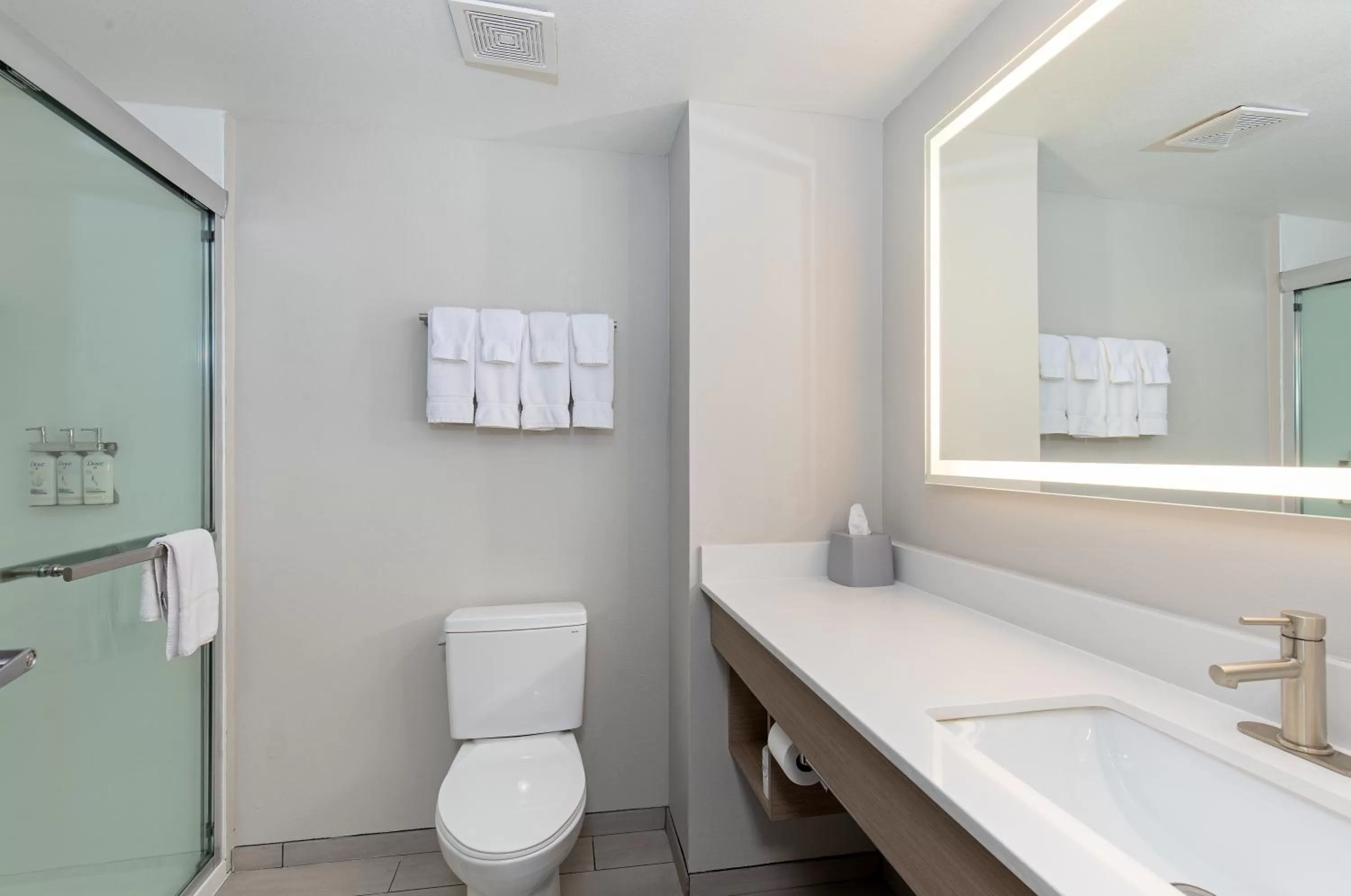 Bathroom in Holiday Inn Express Savannah South I-95 Richmond Hill by IHG