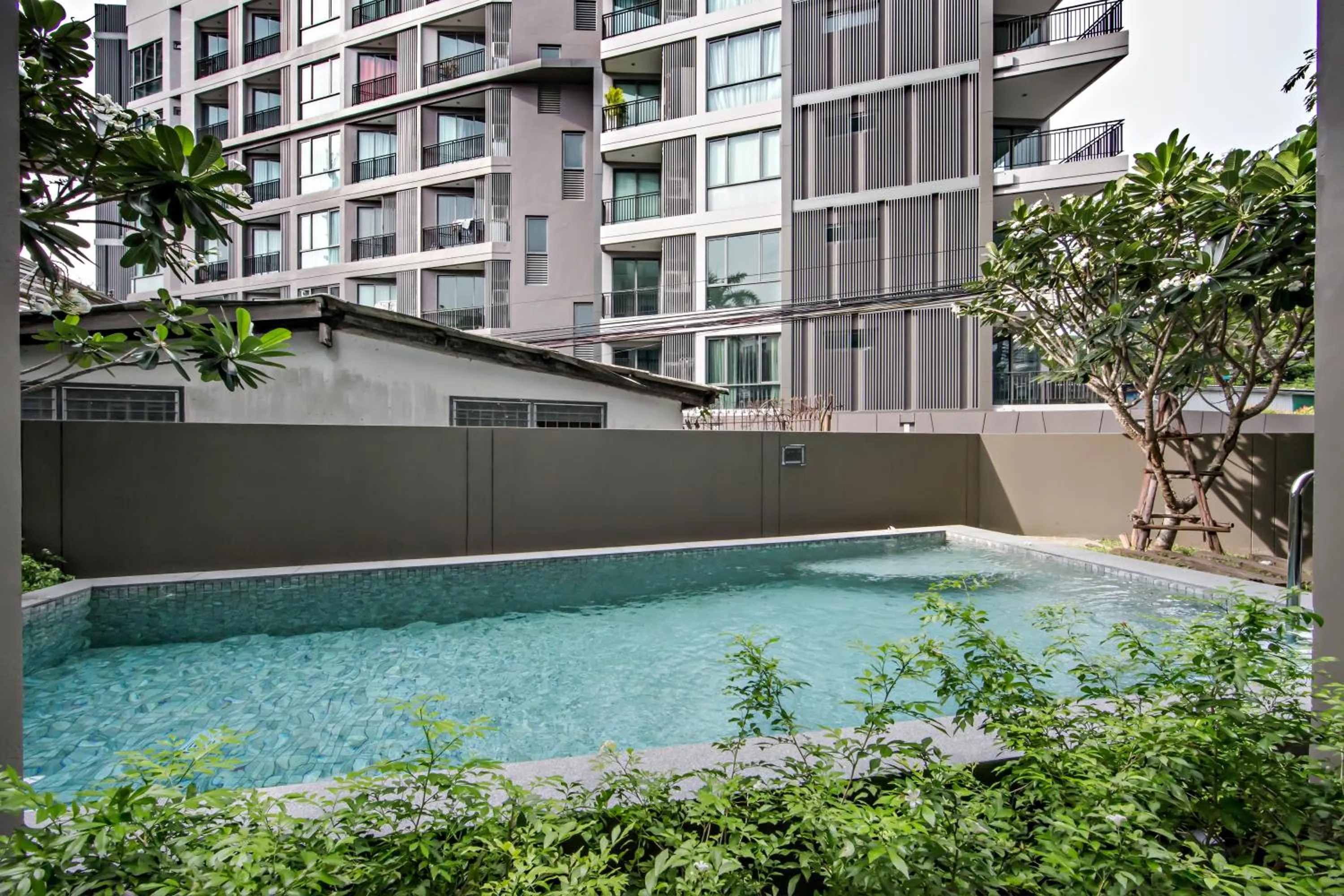 Swimming pool in Like Sukhumvit 22