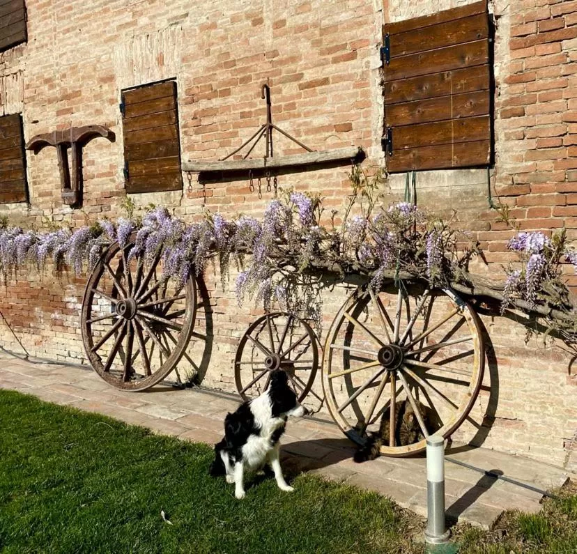 Pets in La Casa di Valeria - Modena