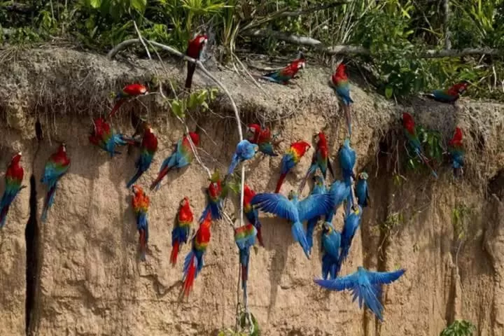 Activities in Hostal Limoncocha