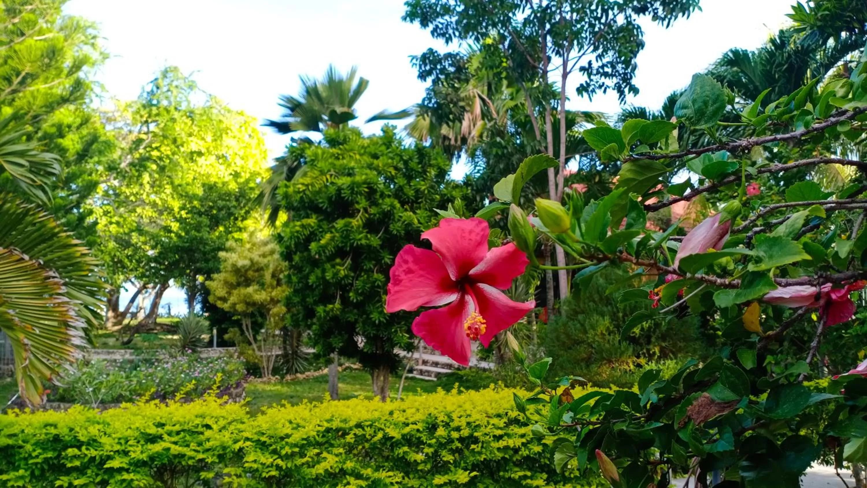 Natural landscape in Ancelle Cristo Re