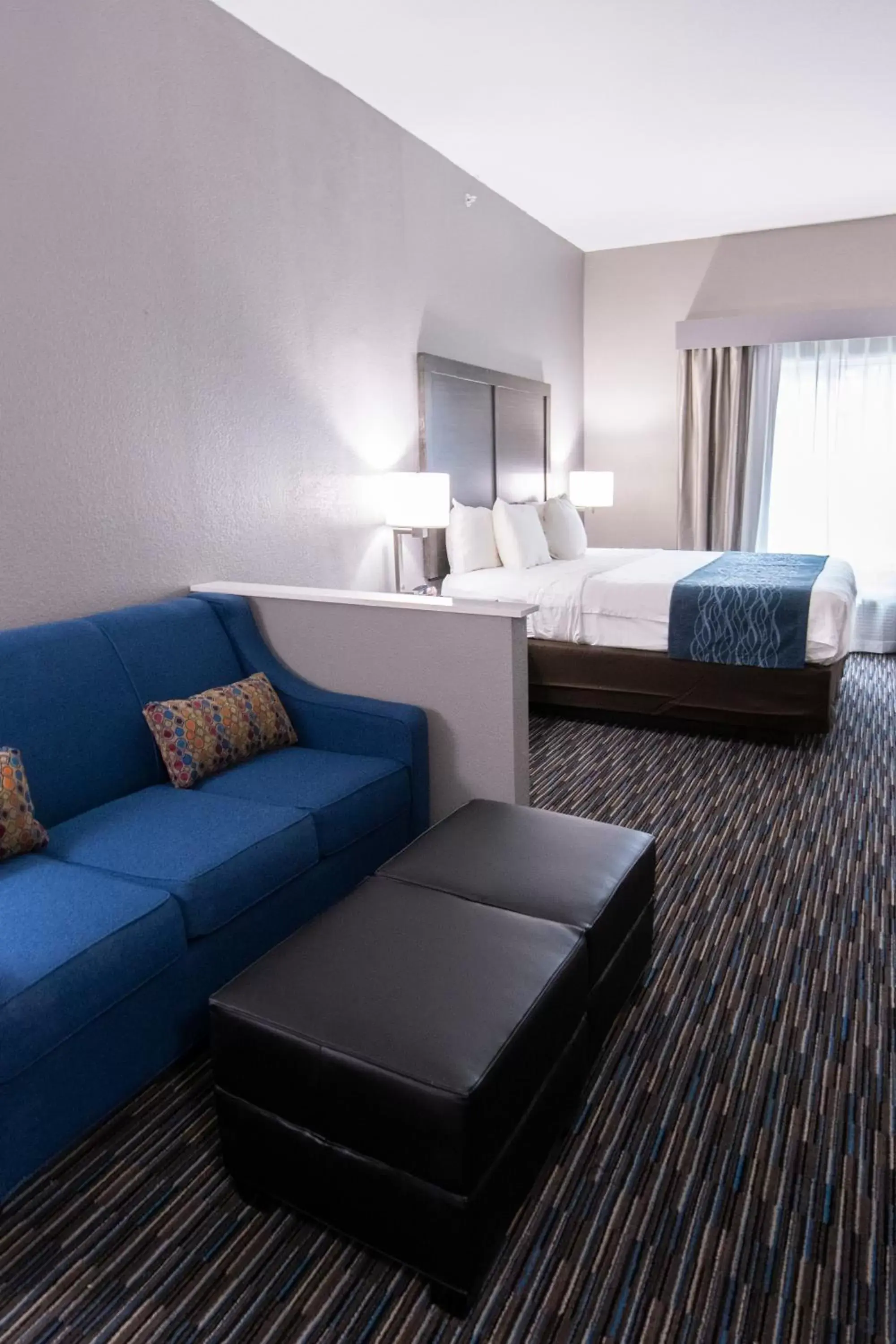 Photo of the whole room in Comfort Inn & Suites Near Medical Center