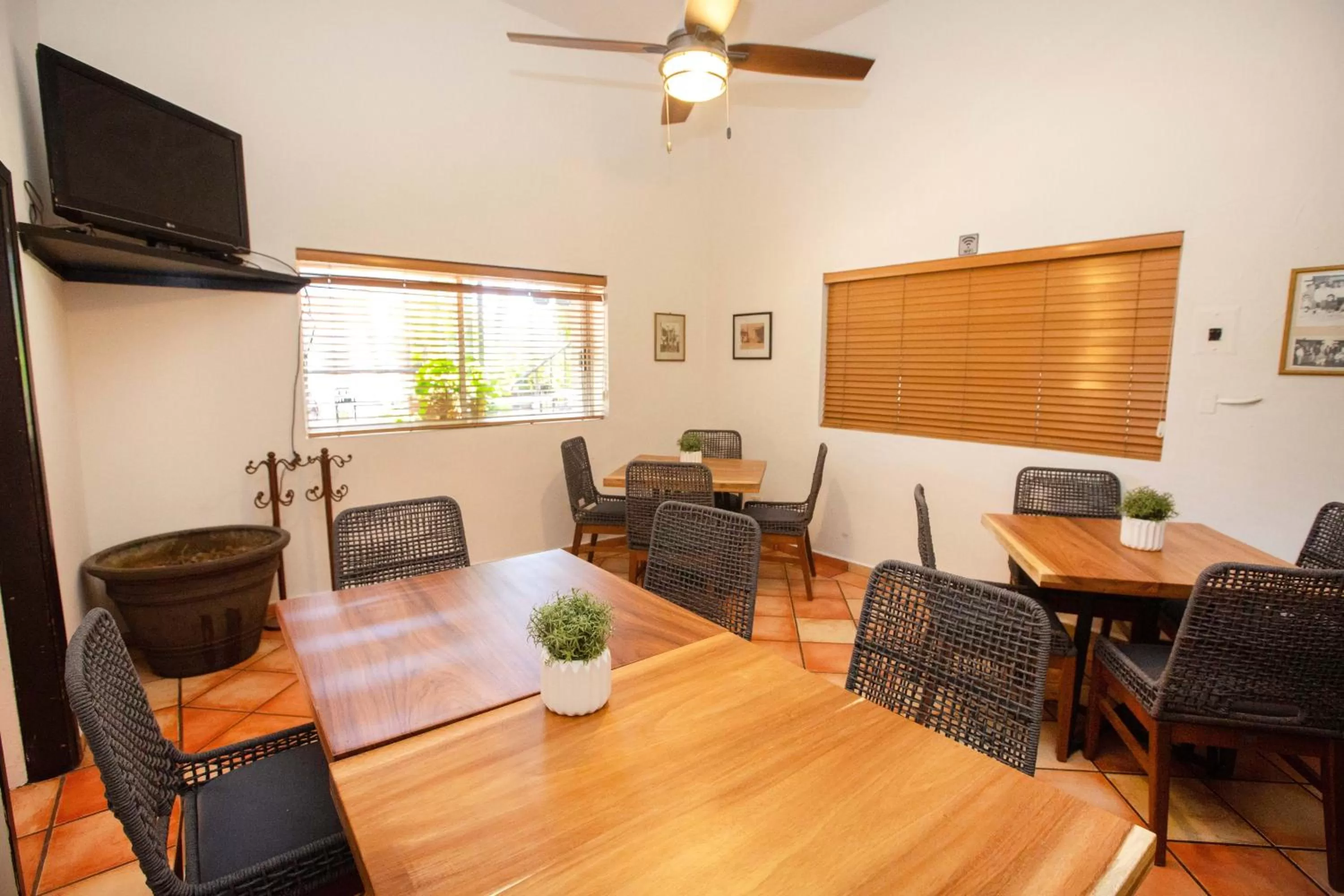 Lounge or bar in Hotel Posada Terranova