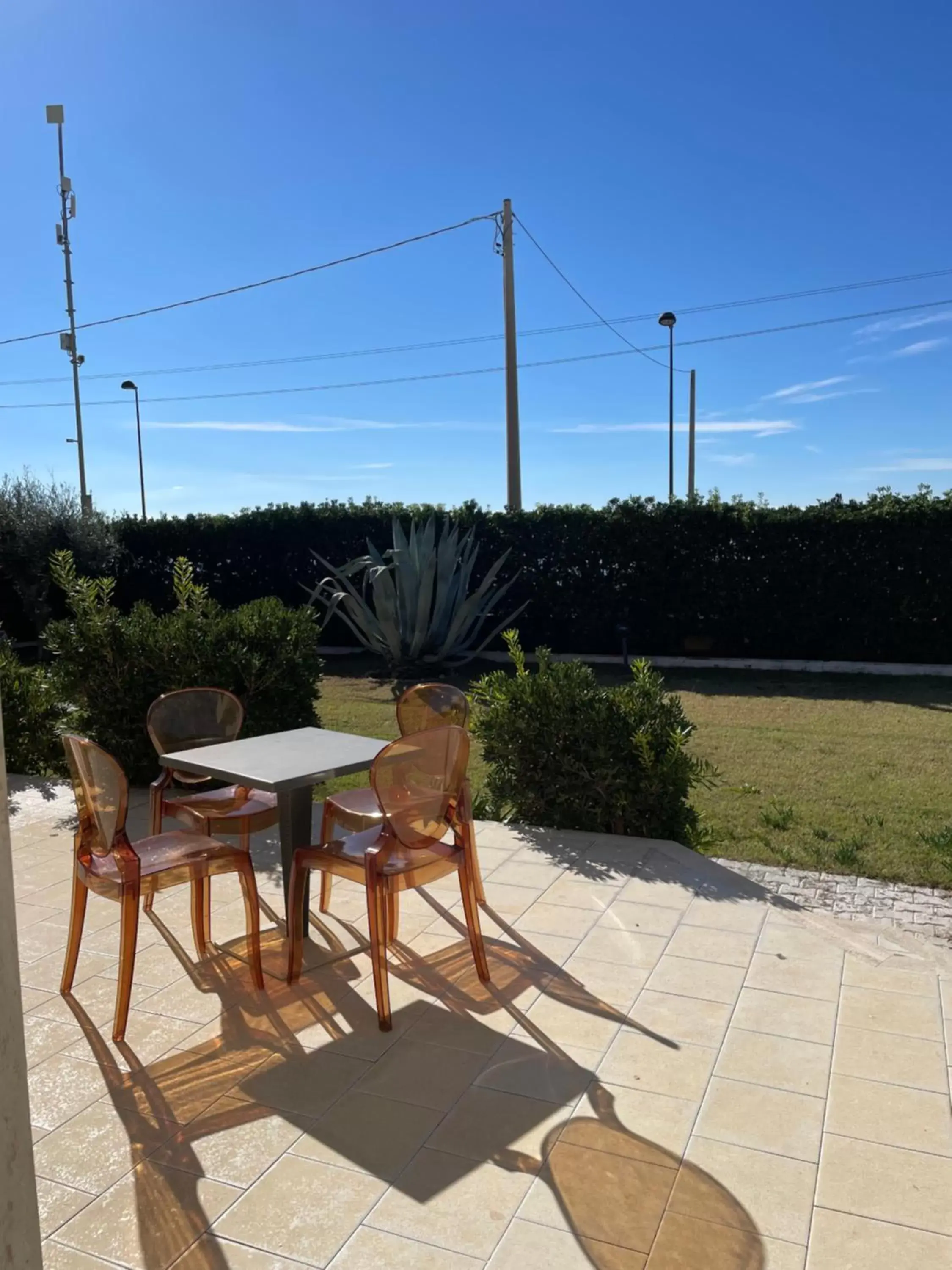 Garden in Villa Miramare