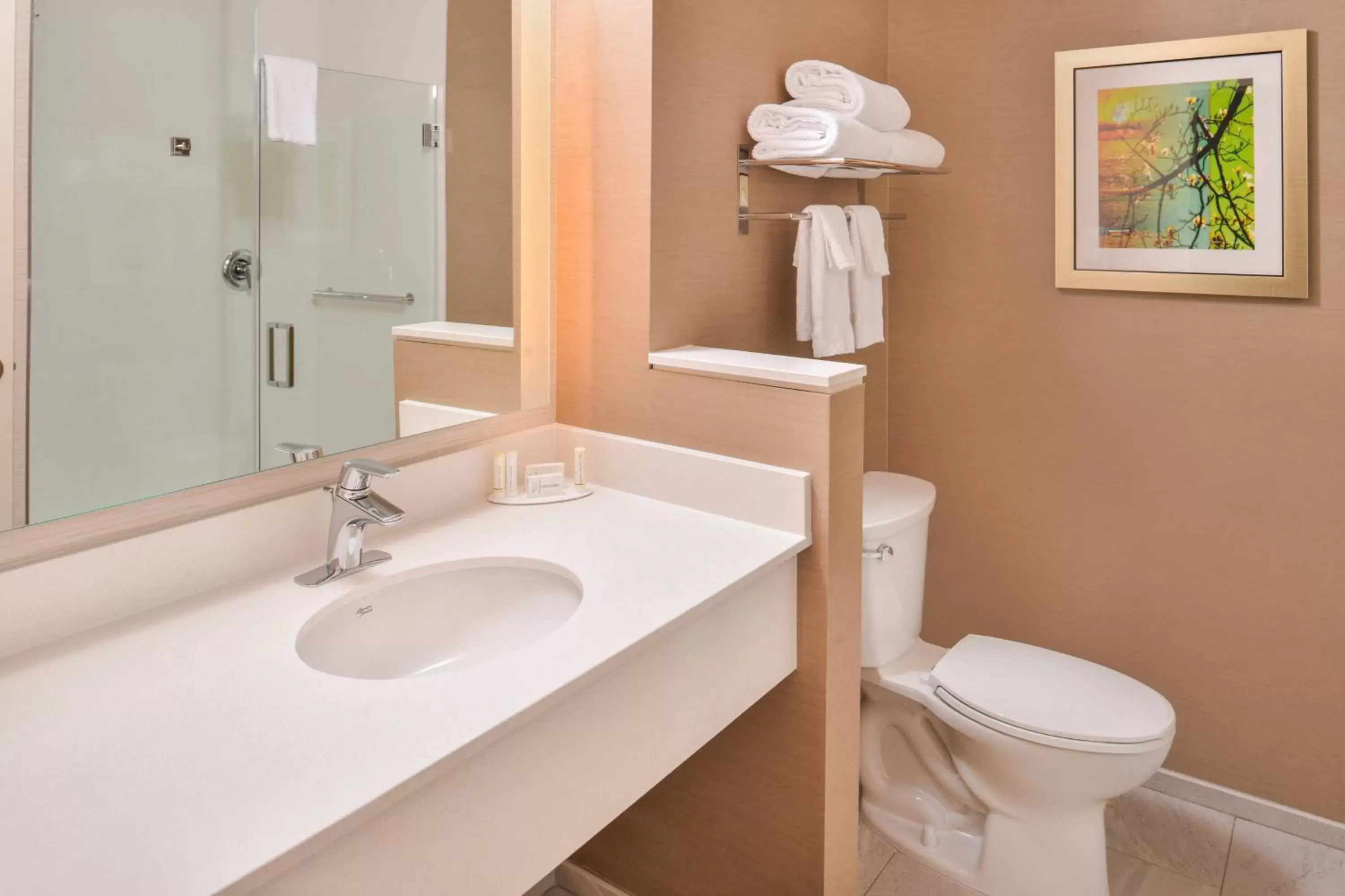 Bathroom in Fairfield Inn & Suites by Marriott Eugene East/Springfield