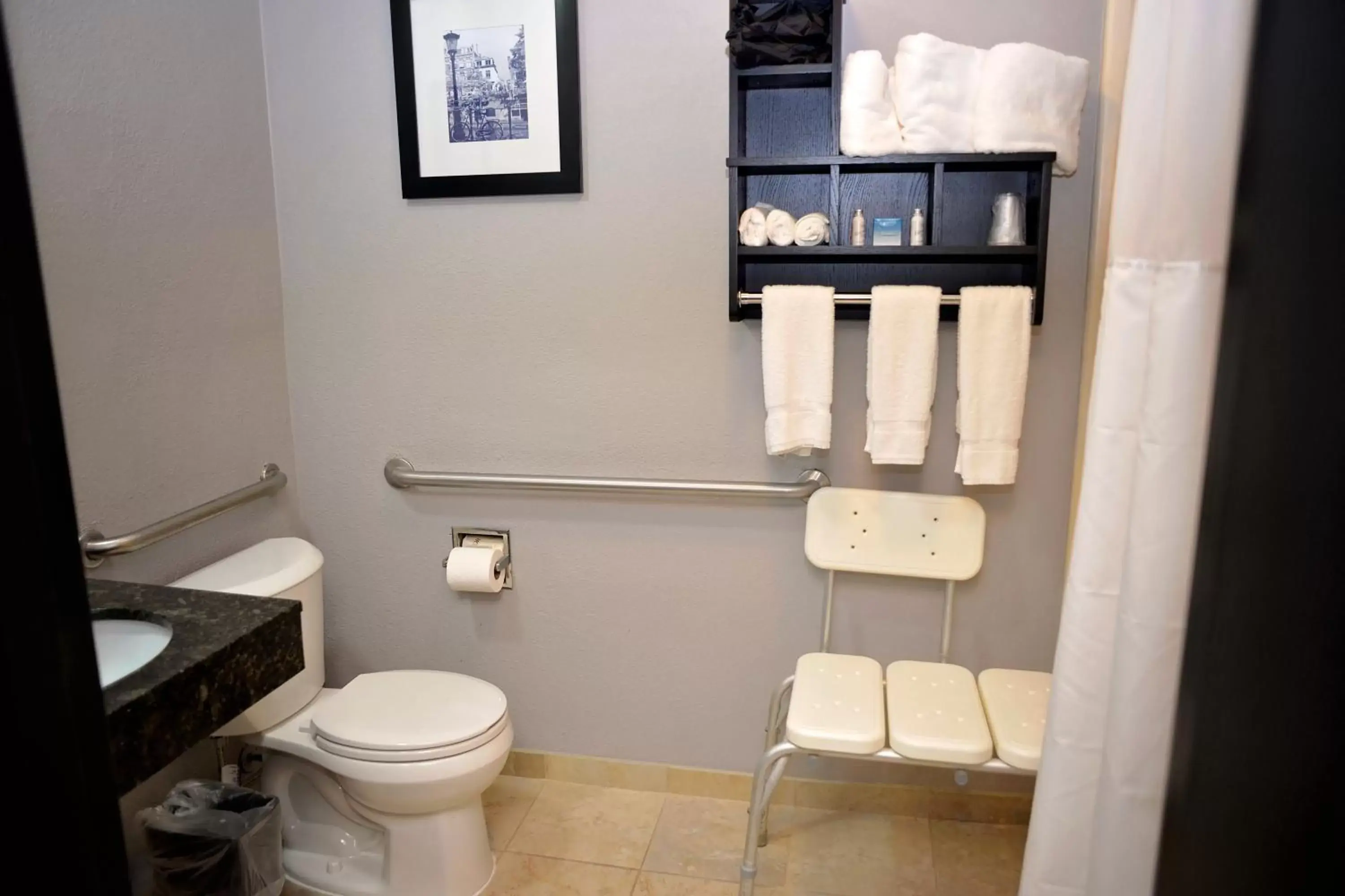 Toilet, Bathroom in Comfort Inn & Suites Carrollton