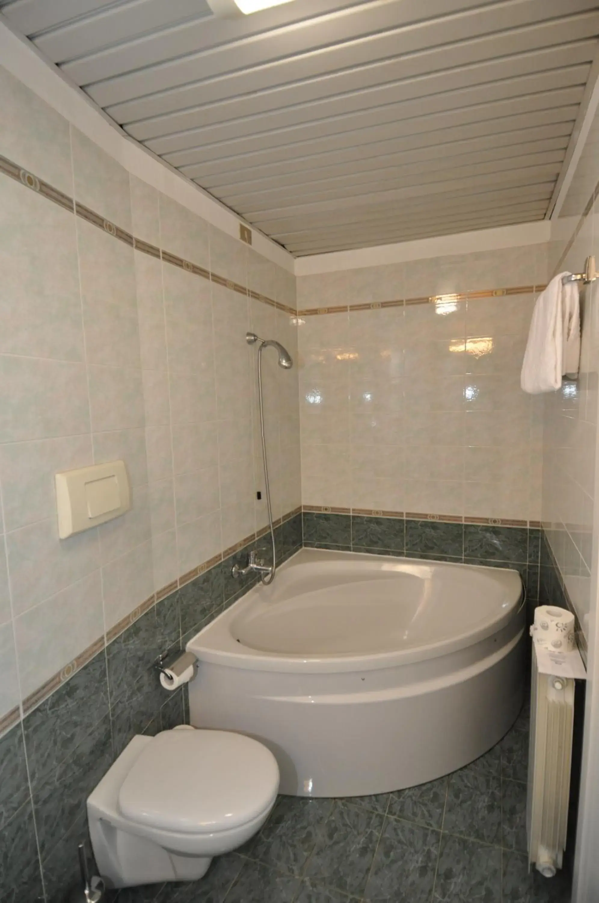 Shower, Bathroom in Hotel Moderno