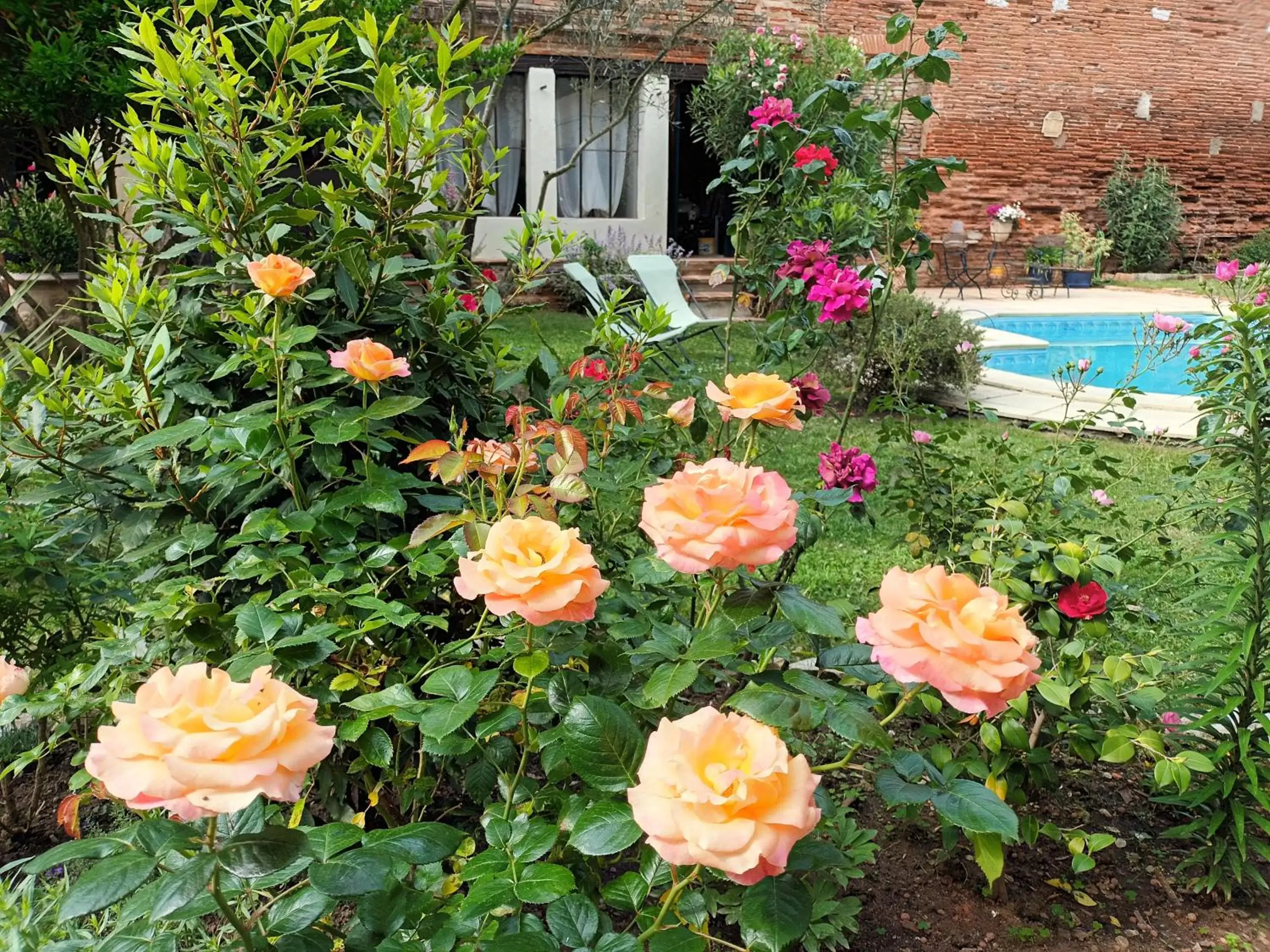 Garden view, Swimming Pool in L'Arche de Moissac