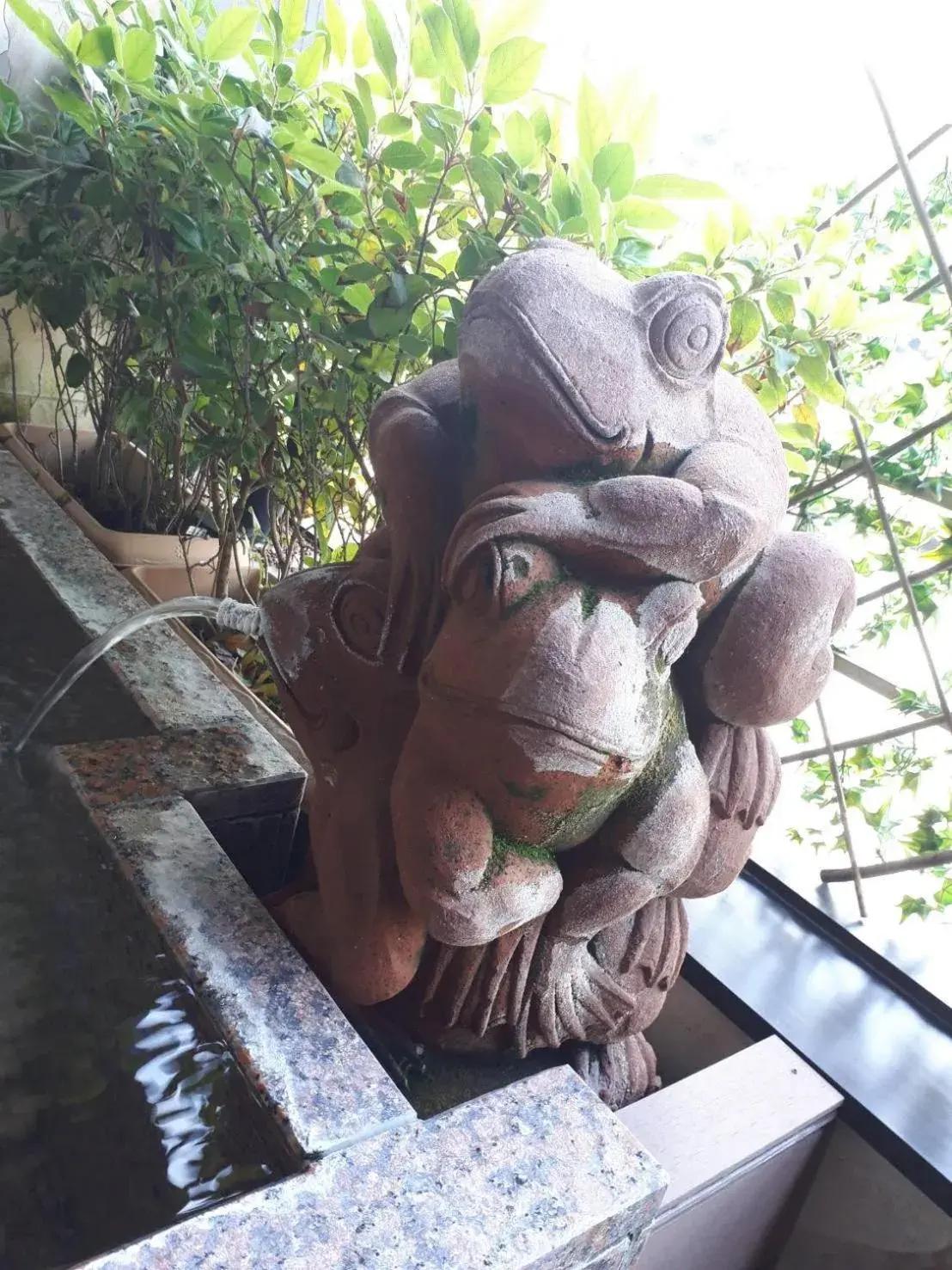 Hot Spring Bath, Other Animals in Balinese onsen ryokan Hakone Airu