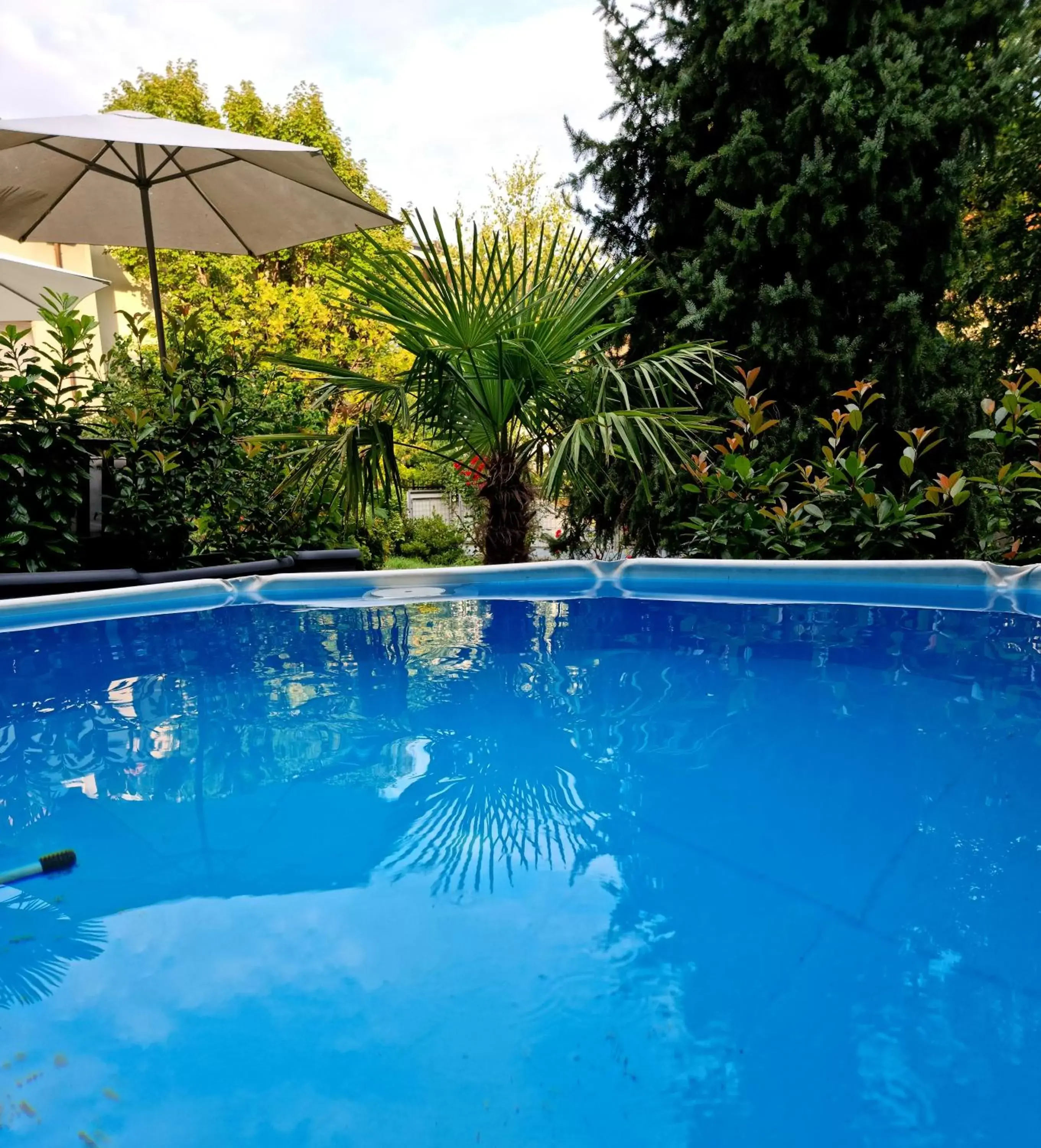 Swimming Pool in Victoria Royal Garden