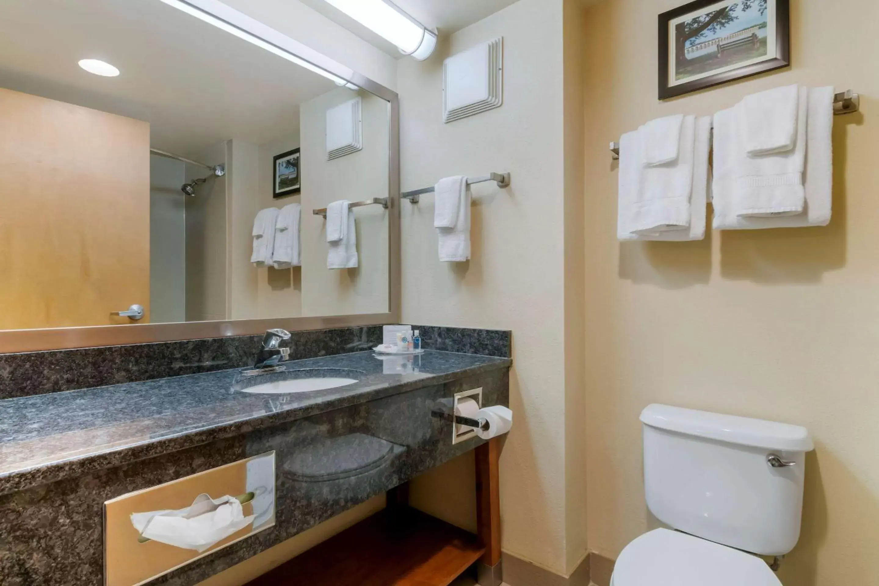 Bathroom in Comfort Inn Mechanicsburg – Harrisburg South