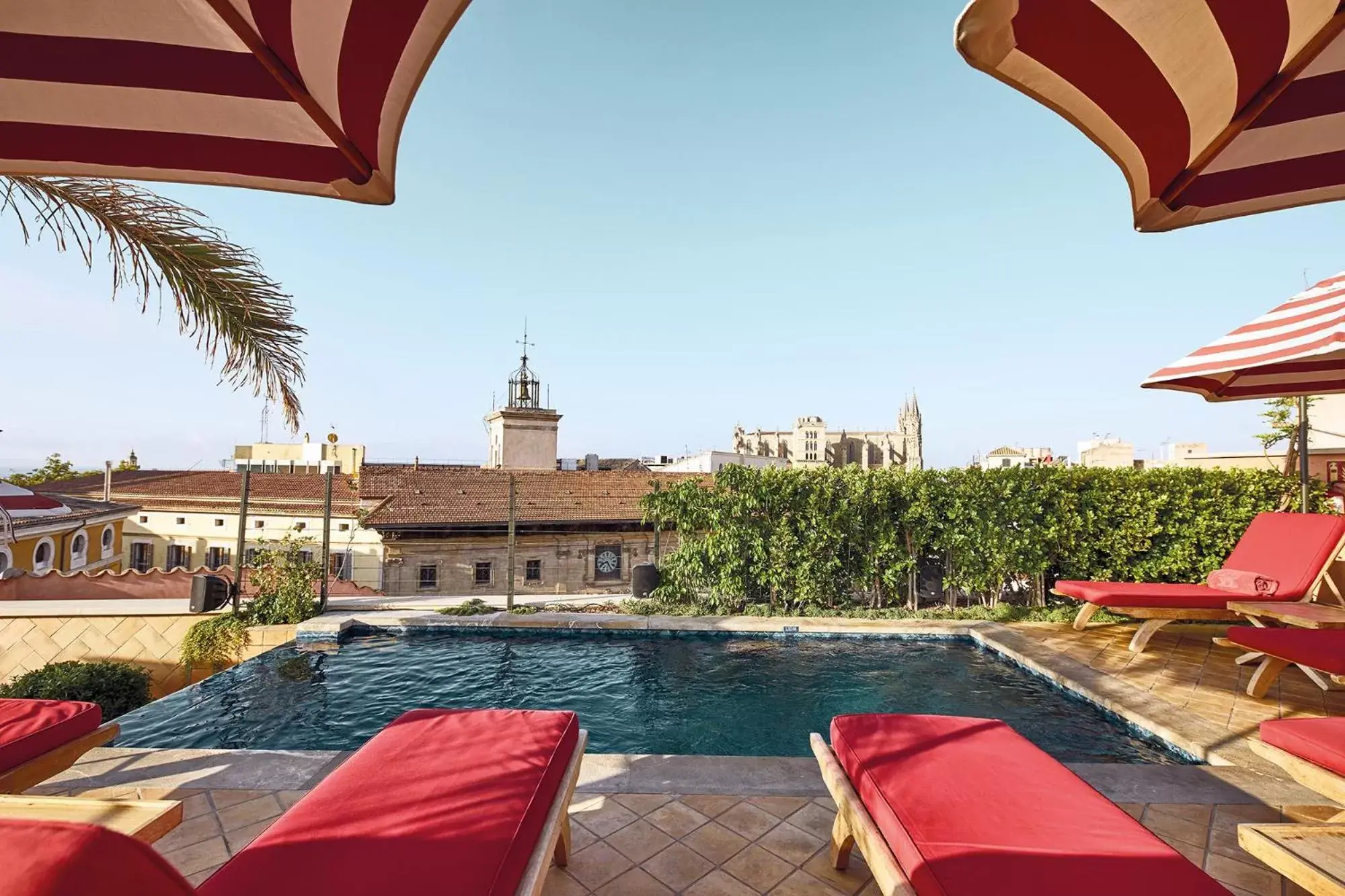 Swimming Pool in Hotel Cappuccino - Palma