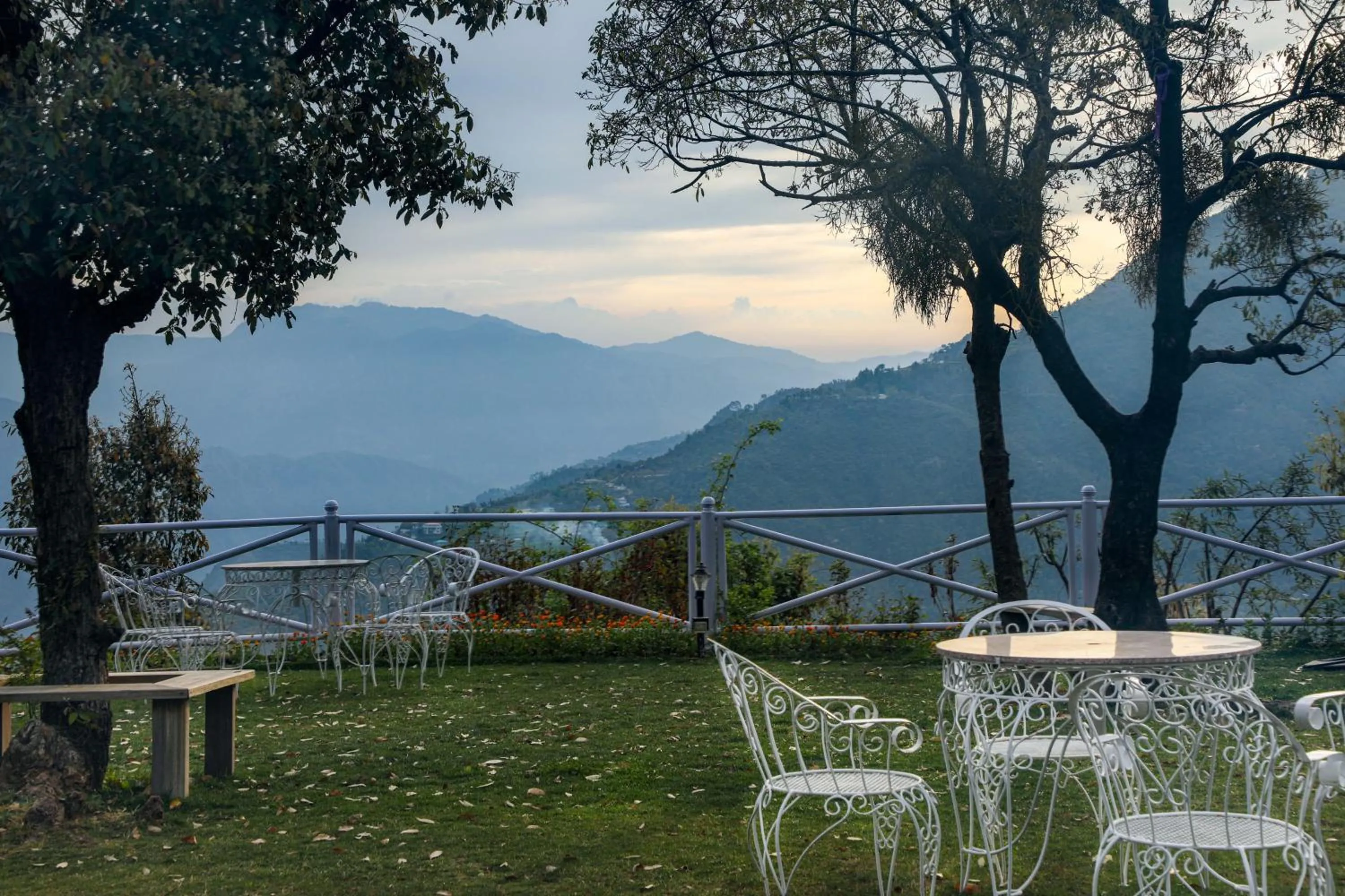 Natural landscape in The Mountain Quail