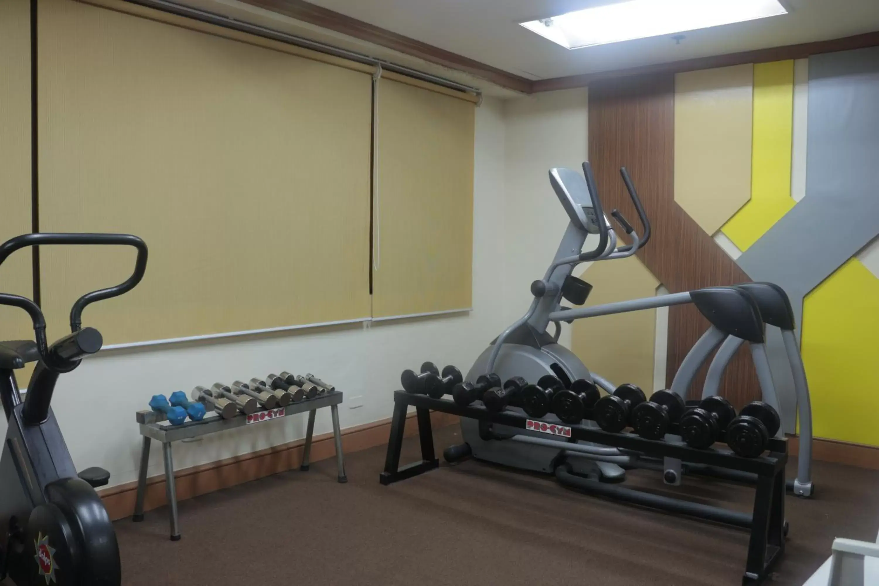 Fitness centre/facilities, Fitness Center/Facilities in Prince Plaza II Condotel