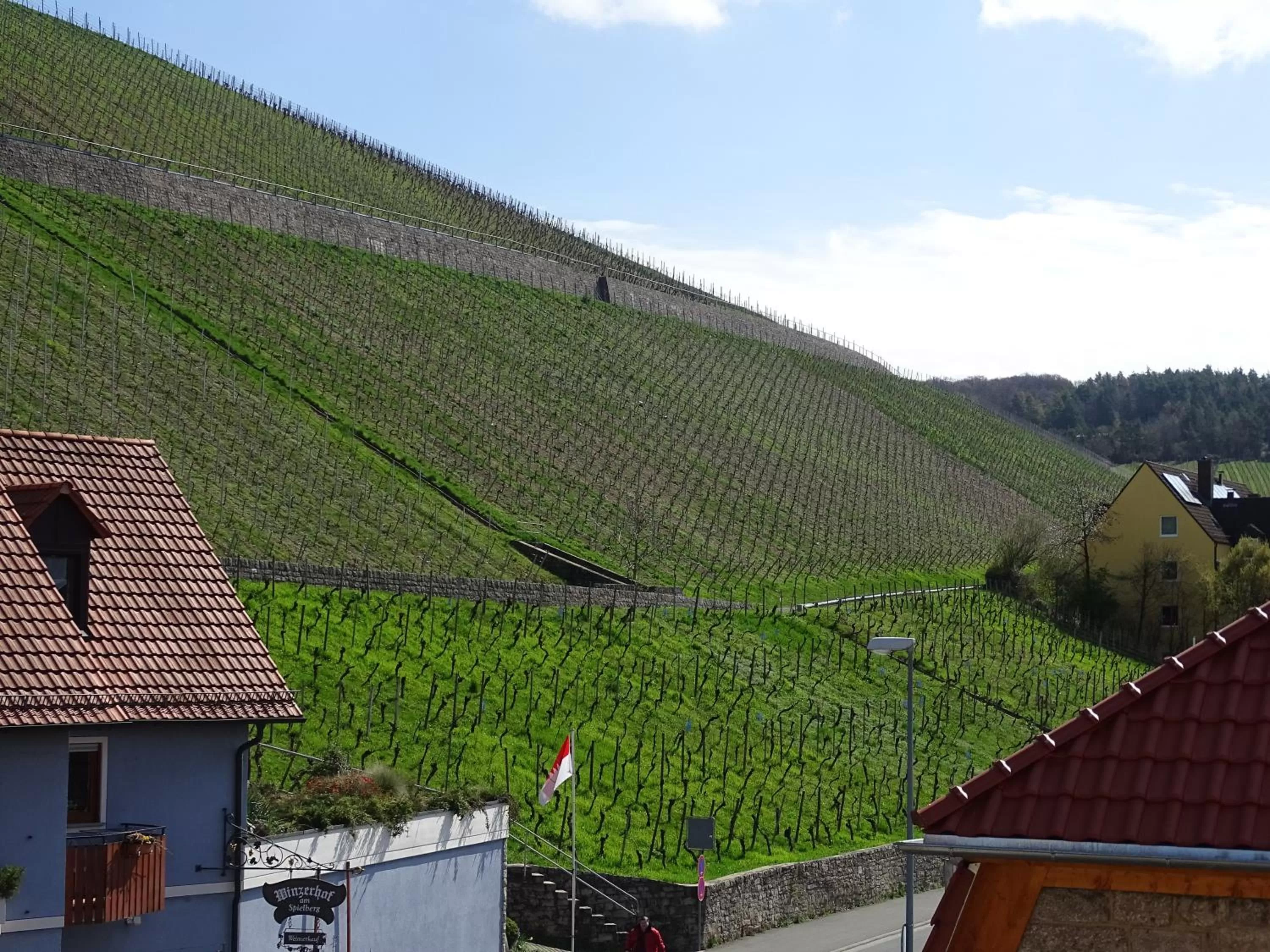 Natural landscape in Hotel Demling