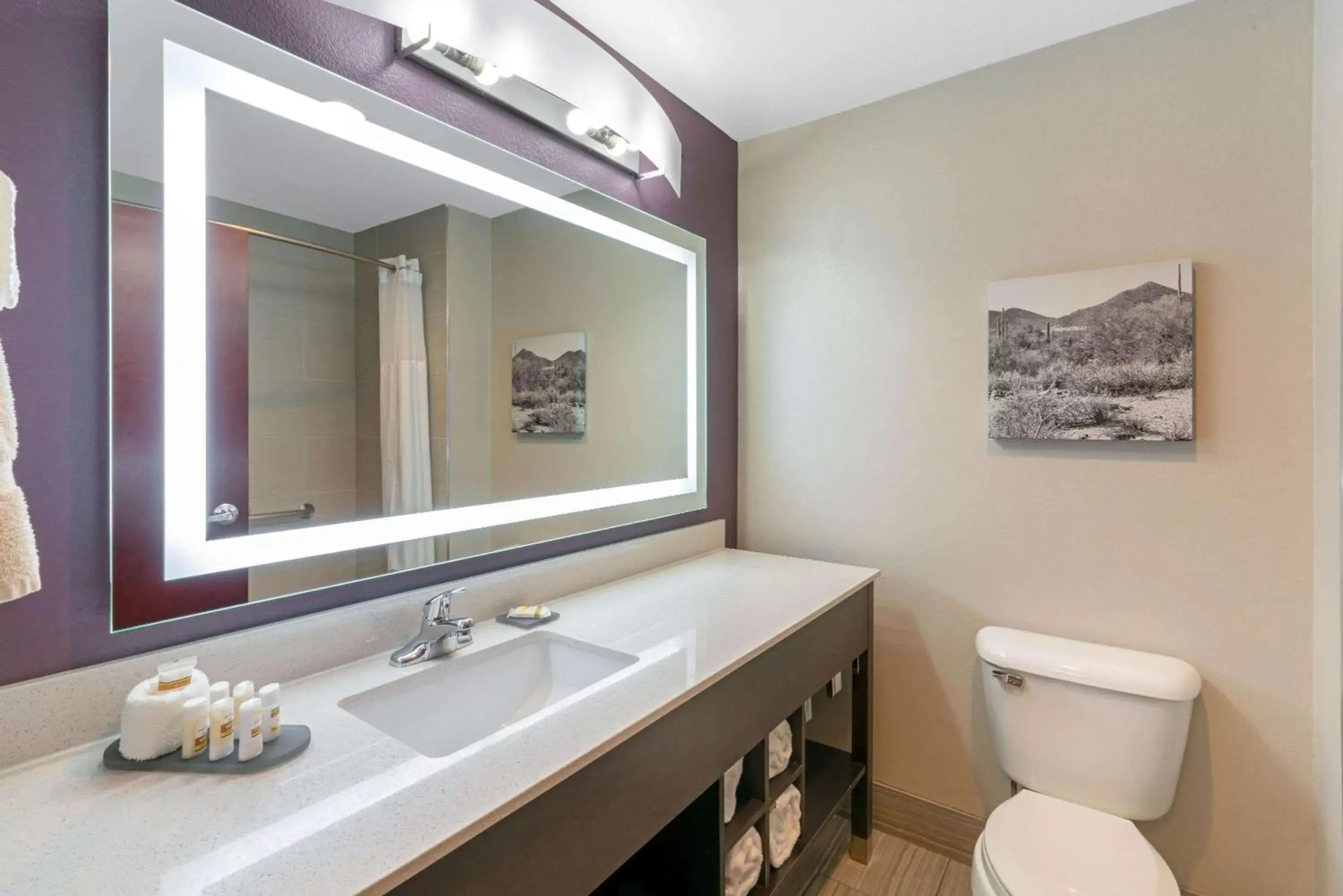 Bathroom in La Quinta by Wyndham Williams-Grand Canyon Area