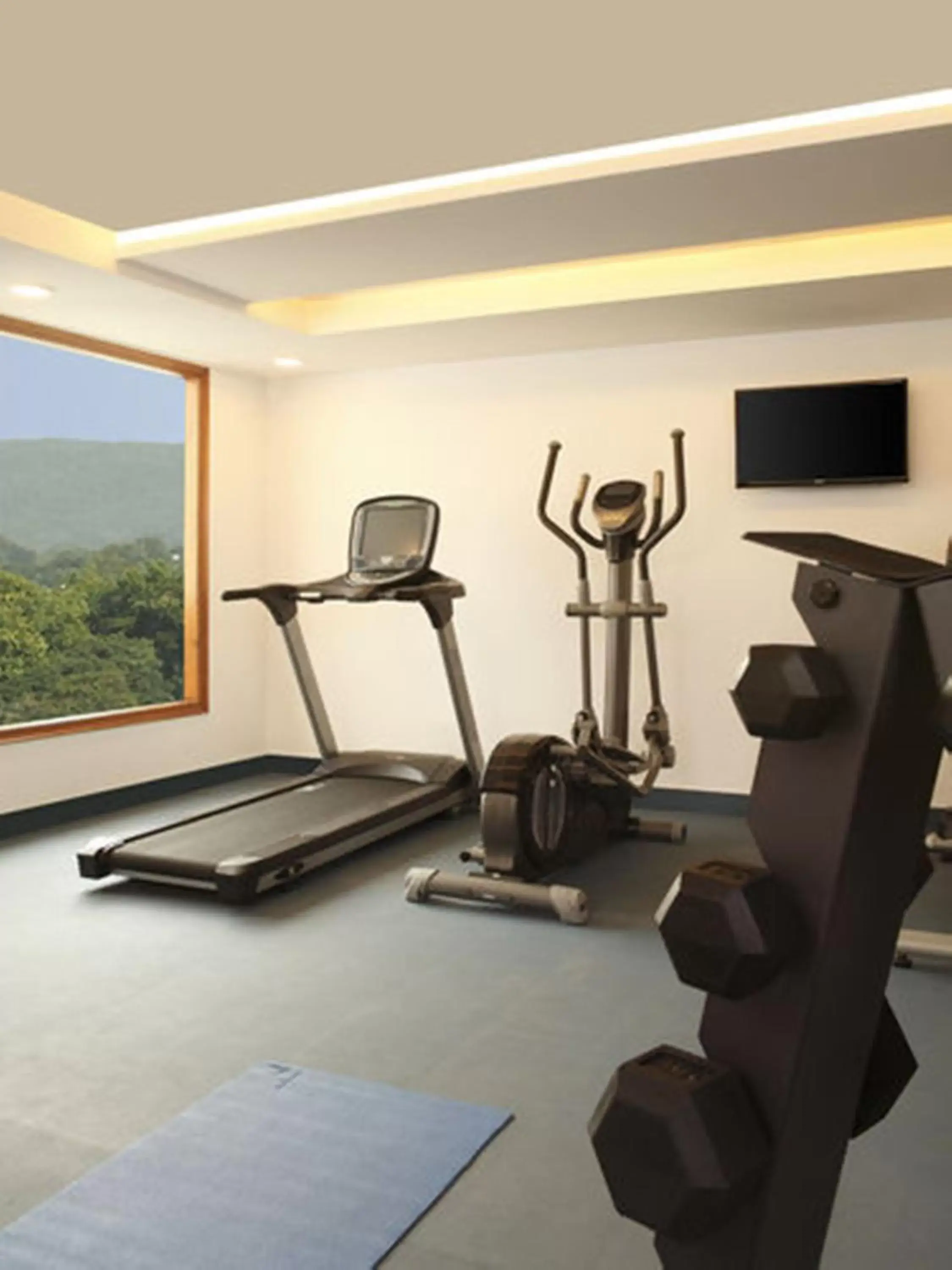 Fitness centre/facilities, Fitness Center/Facilities in Lemon Tree Hotel, Dehradun