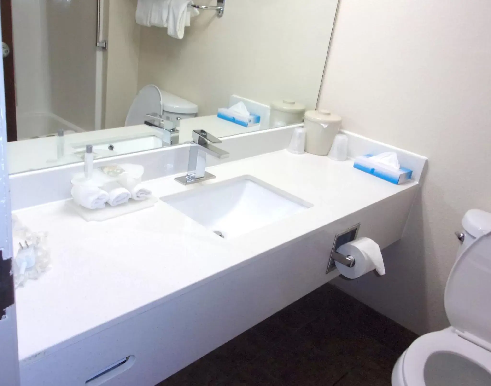 Bathroom in Red Roof Inn & Suites Monee