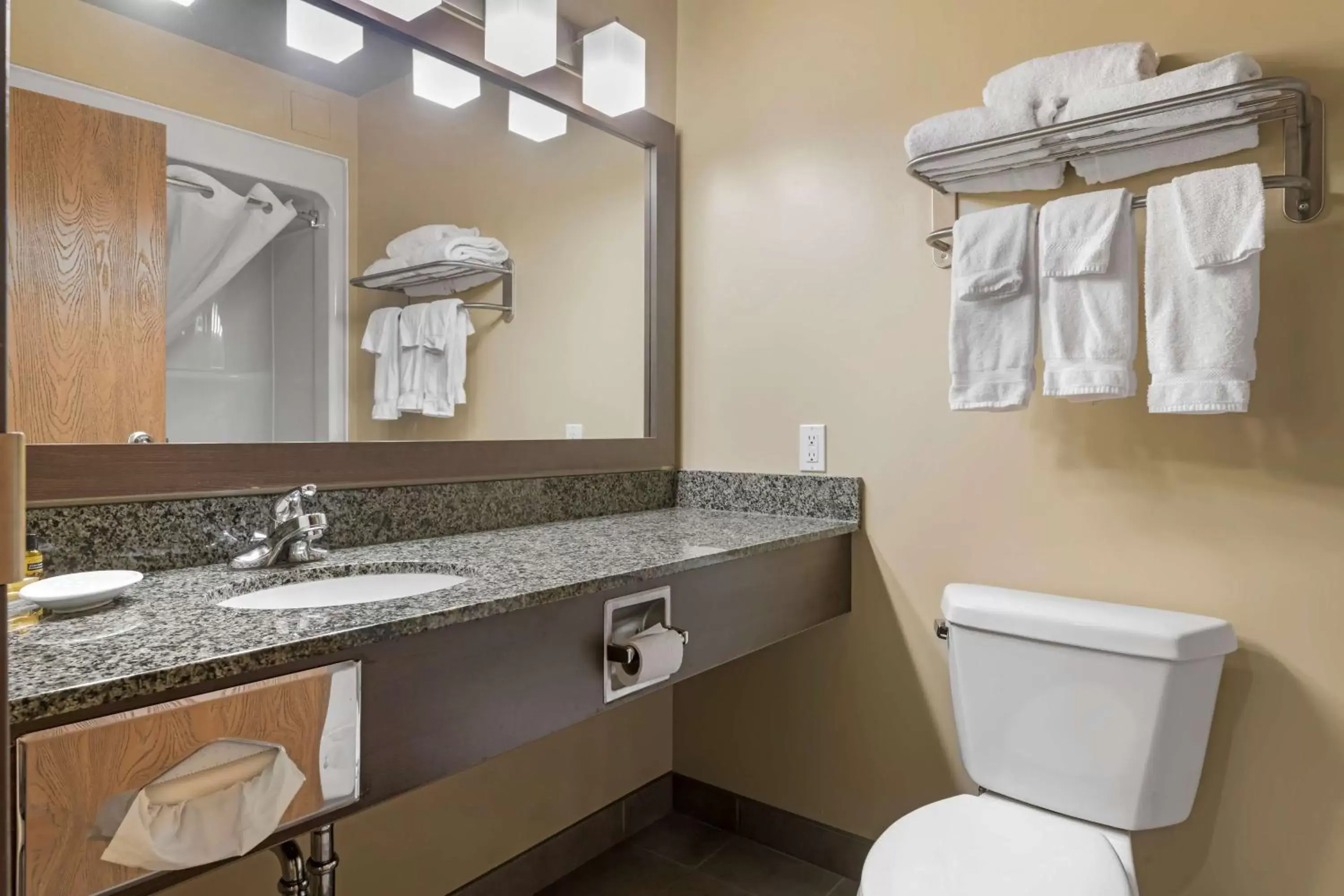 Bathroom in BEST WESTERN PLUS Saint John Hotel & Suites