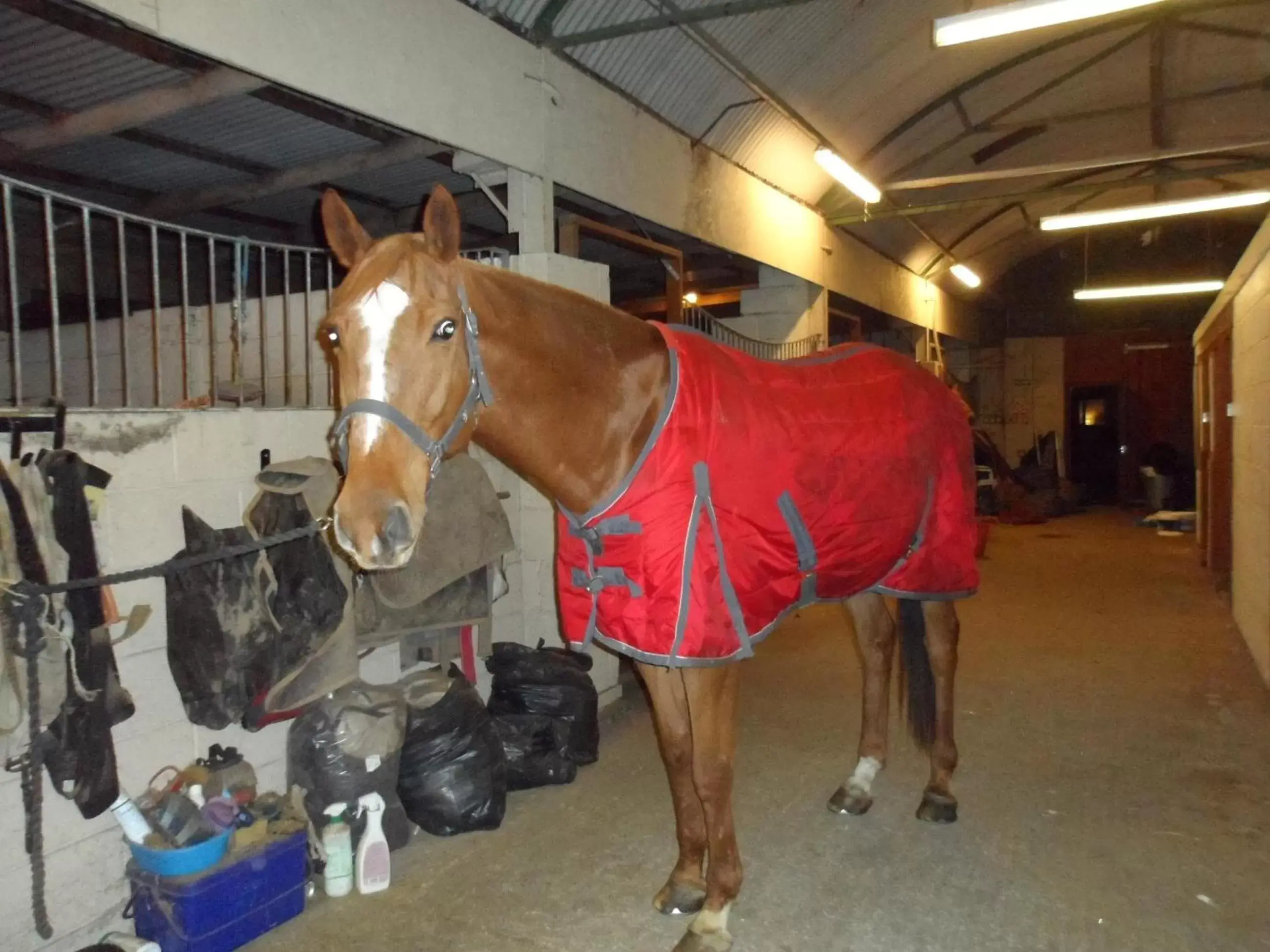 Other in The Stables - Deer Park Farm