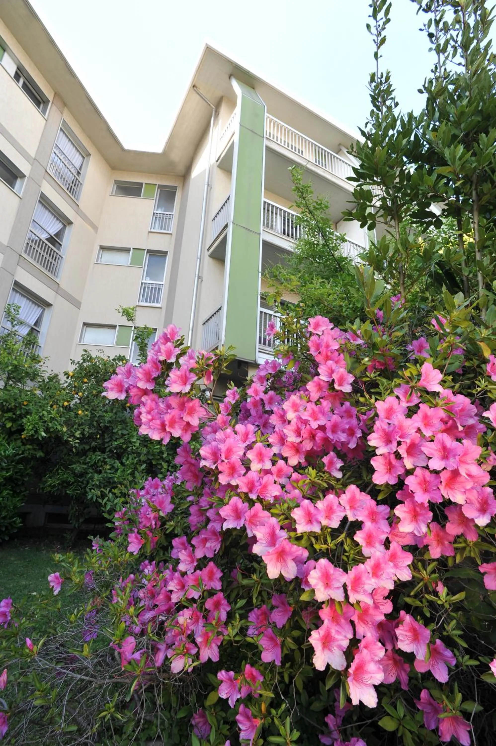 Garden in Hotel Ghironi