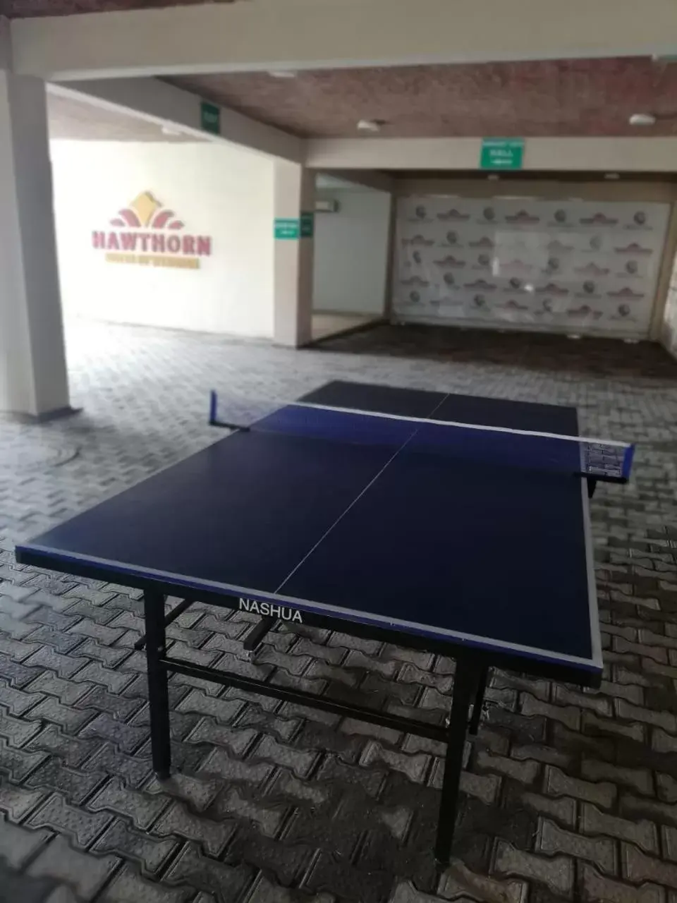 Sports, Table Tennis in Hawthorn Suites by Wyndham Abuja