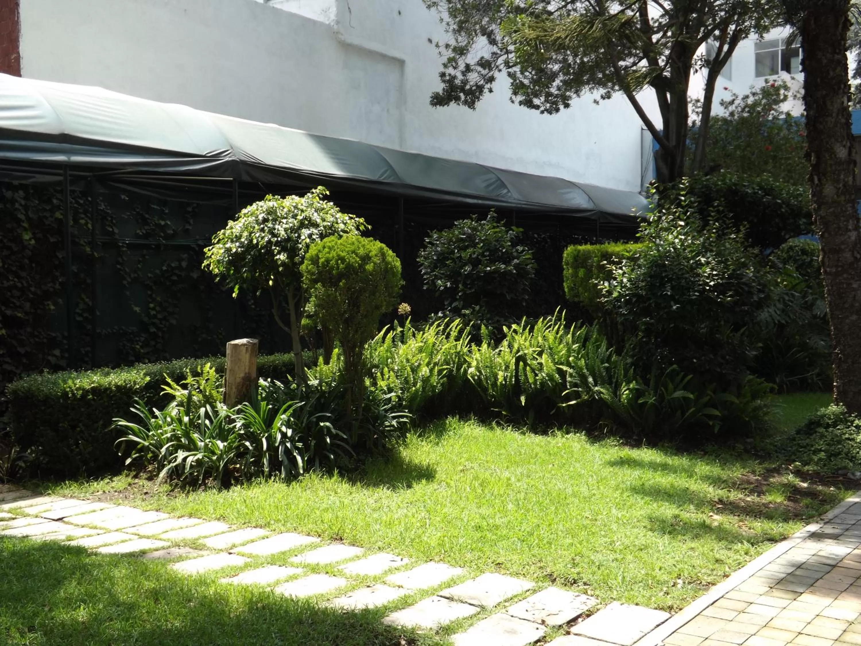 Garden in Pedregal Palace