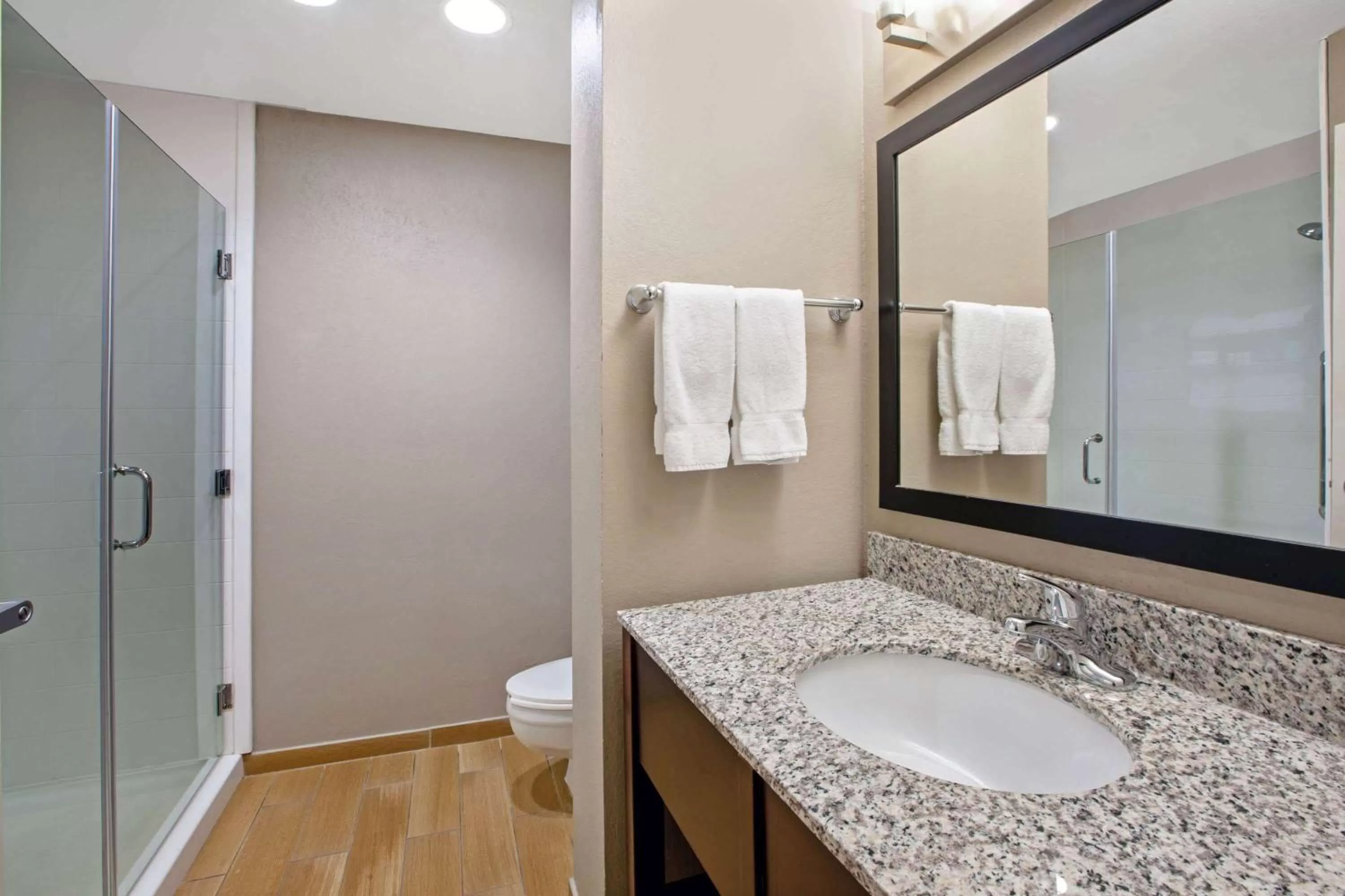 Bathroom in La Quinta Inn & Suites by Wyndham Detroit Metro Airport