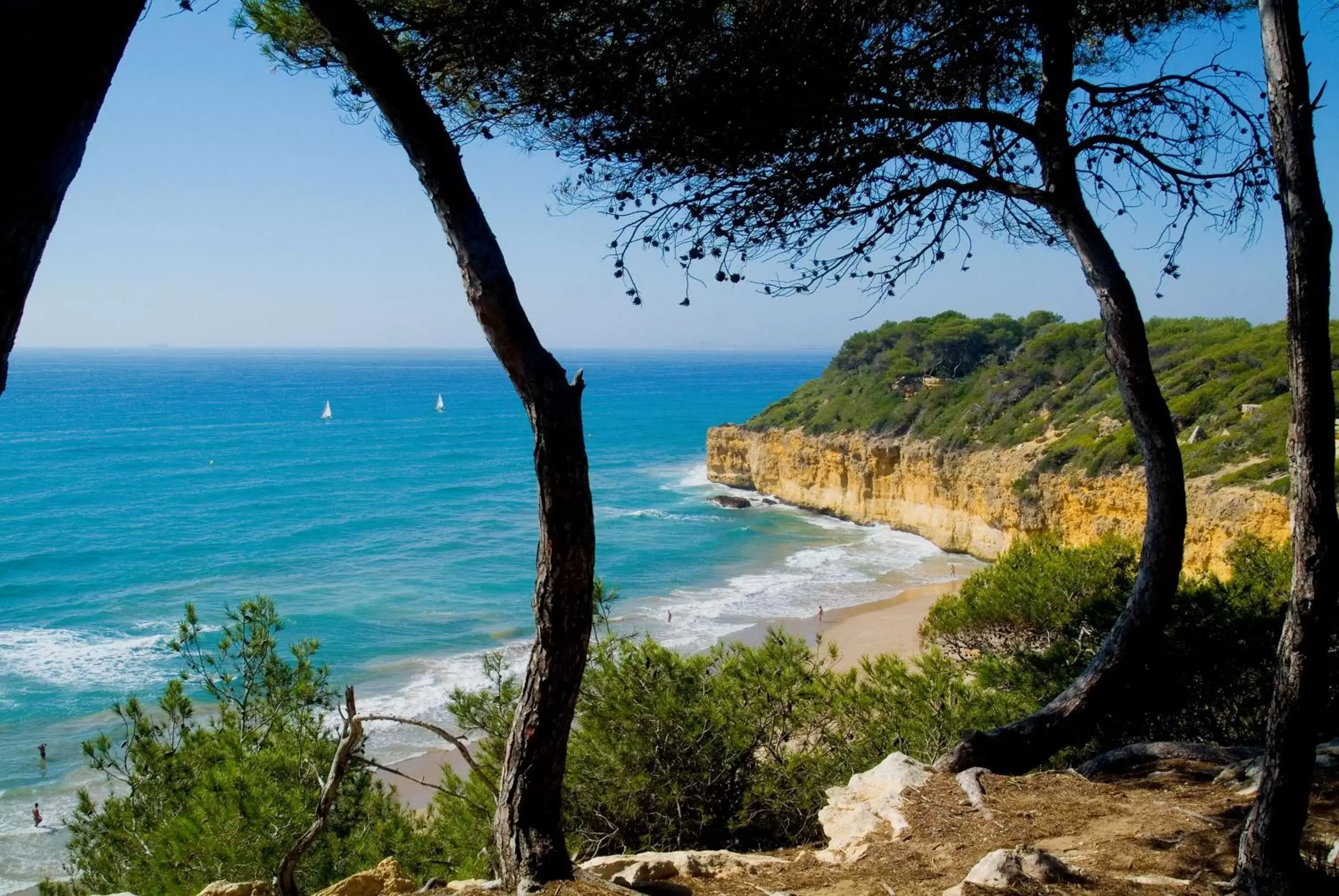 Natural landscape, Beach in Hotel Lauria